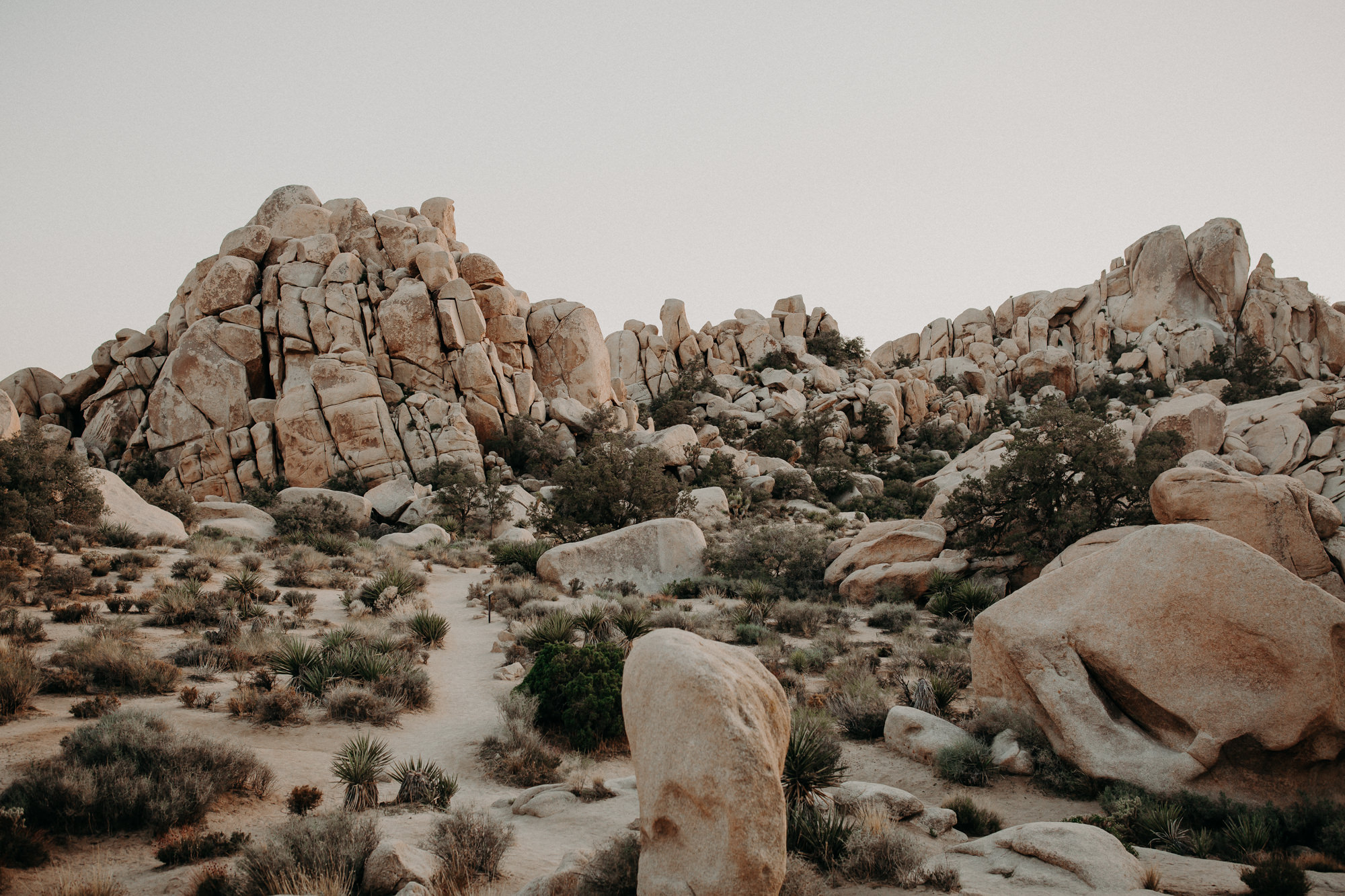 Loma Linda Engagement Photographer-40.jpg