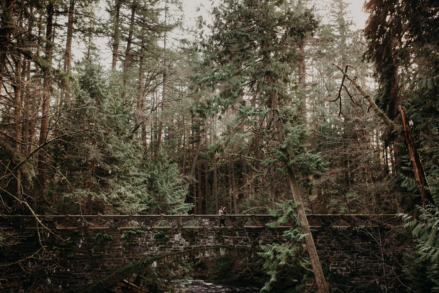 An photograph of an engaged couple standing on the bridge at Whatcom Falls, Bellingham, WA.