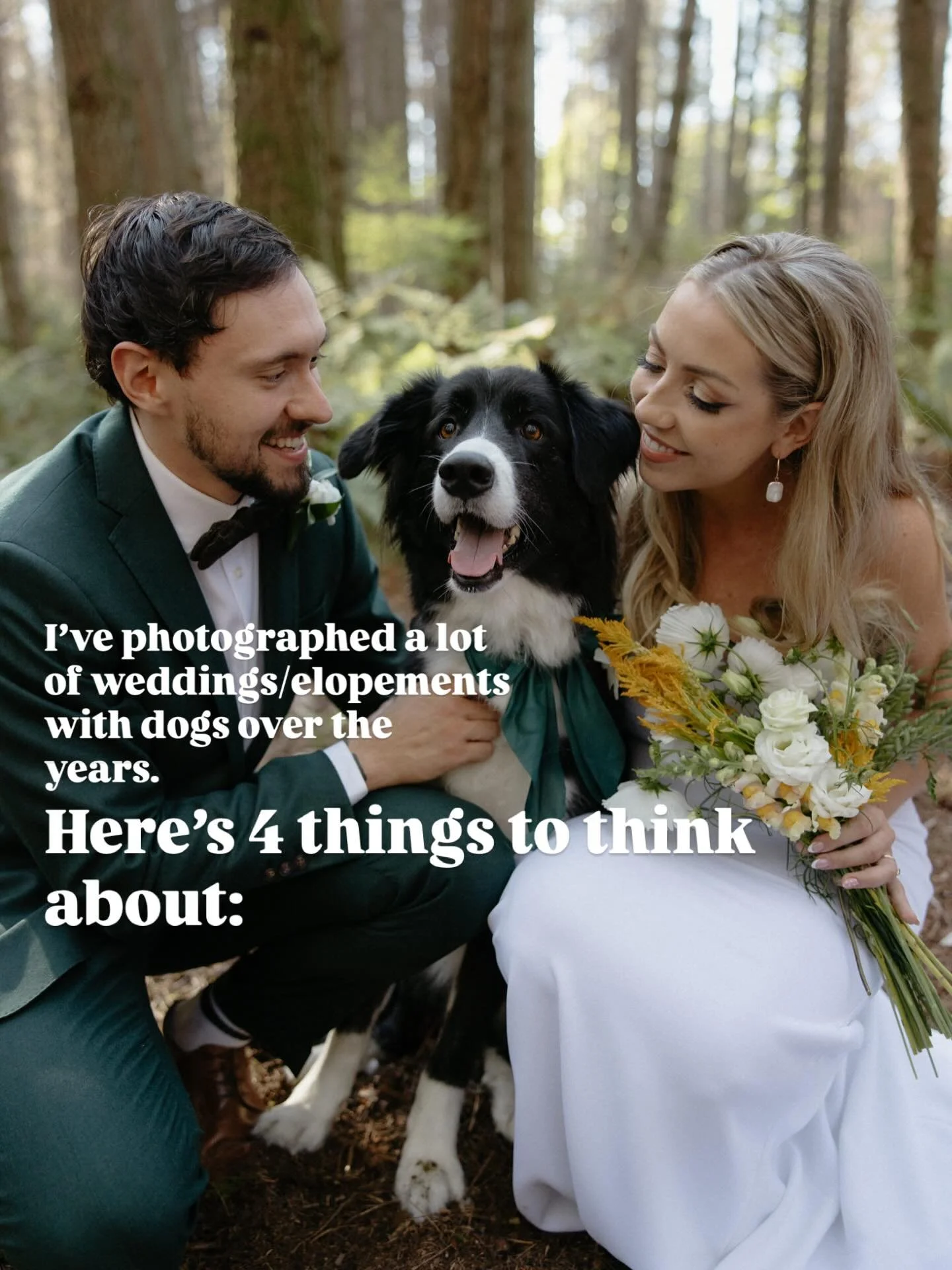 Can&rsquo;t imagine getting married without your dog? Don&rsquo;t worry, lots of couples have made this happen, but it can take some extra thought and consideration. Here are some things I&rsquo;ve learned: 

1. It&rsquo;s important to pick dog-frien