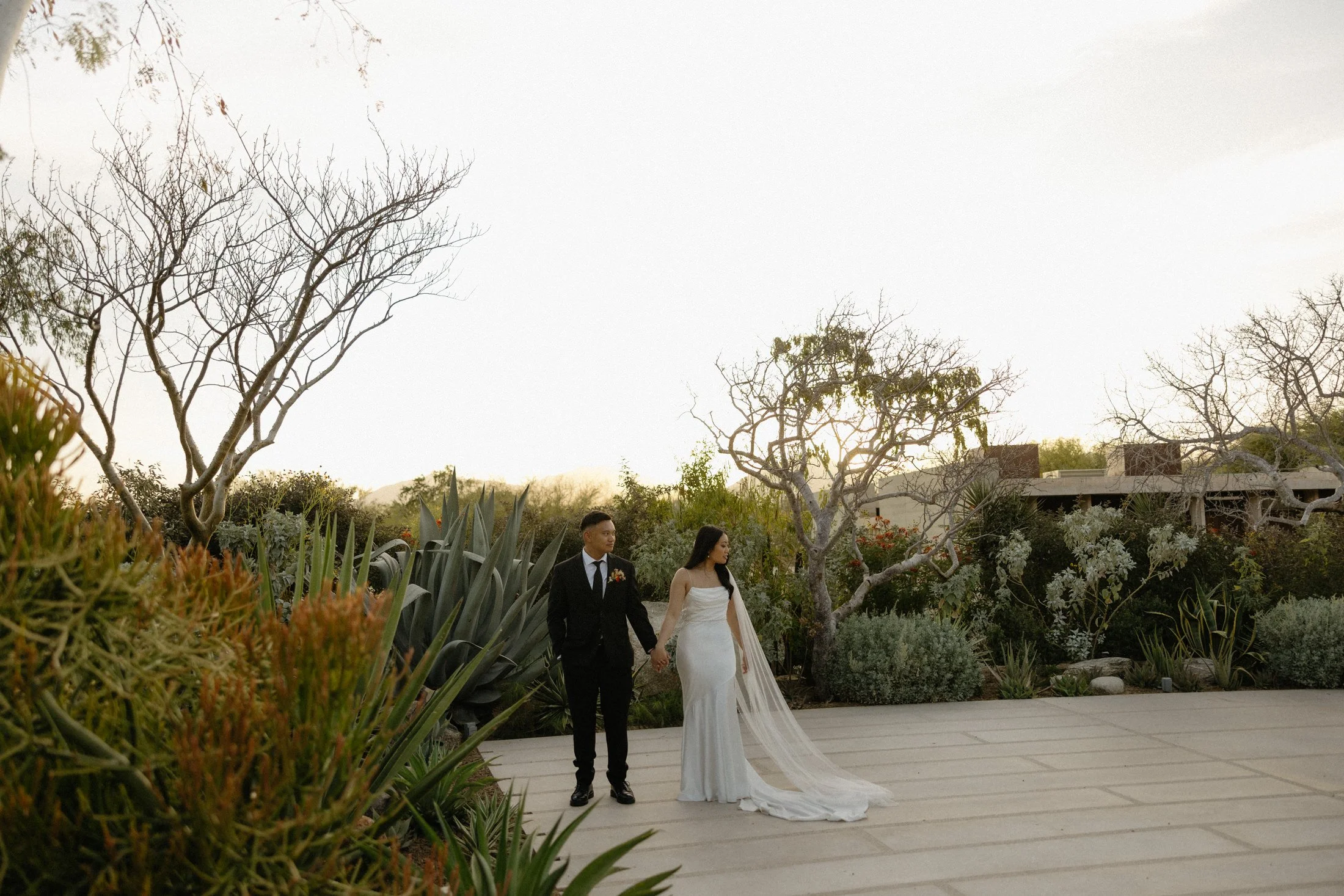A wedding elopement couple holding hands as the sun sets with a desert garden in the background at the los agaves area at acre resort in cabo, mexico