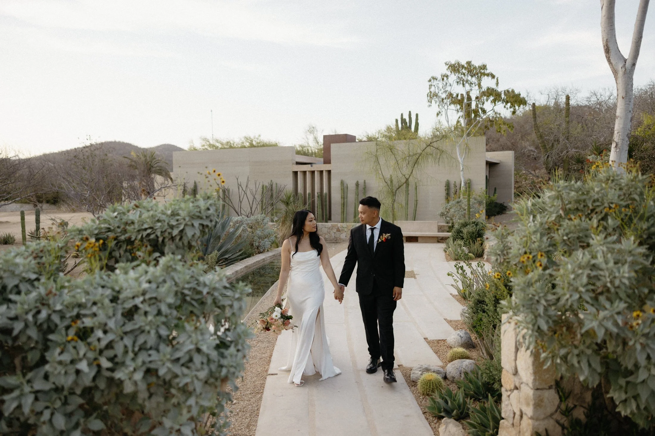 An wedding elopement couple walks on the concrete path among the desert gardens of the los agaves area at the acre resort in Cabo, Mexico