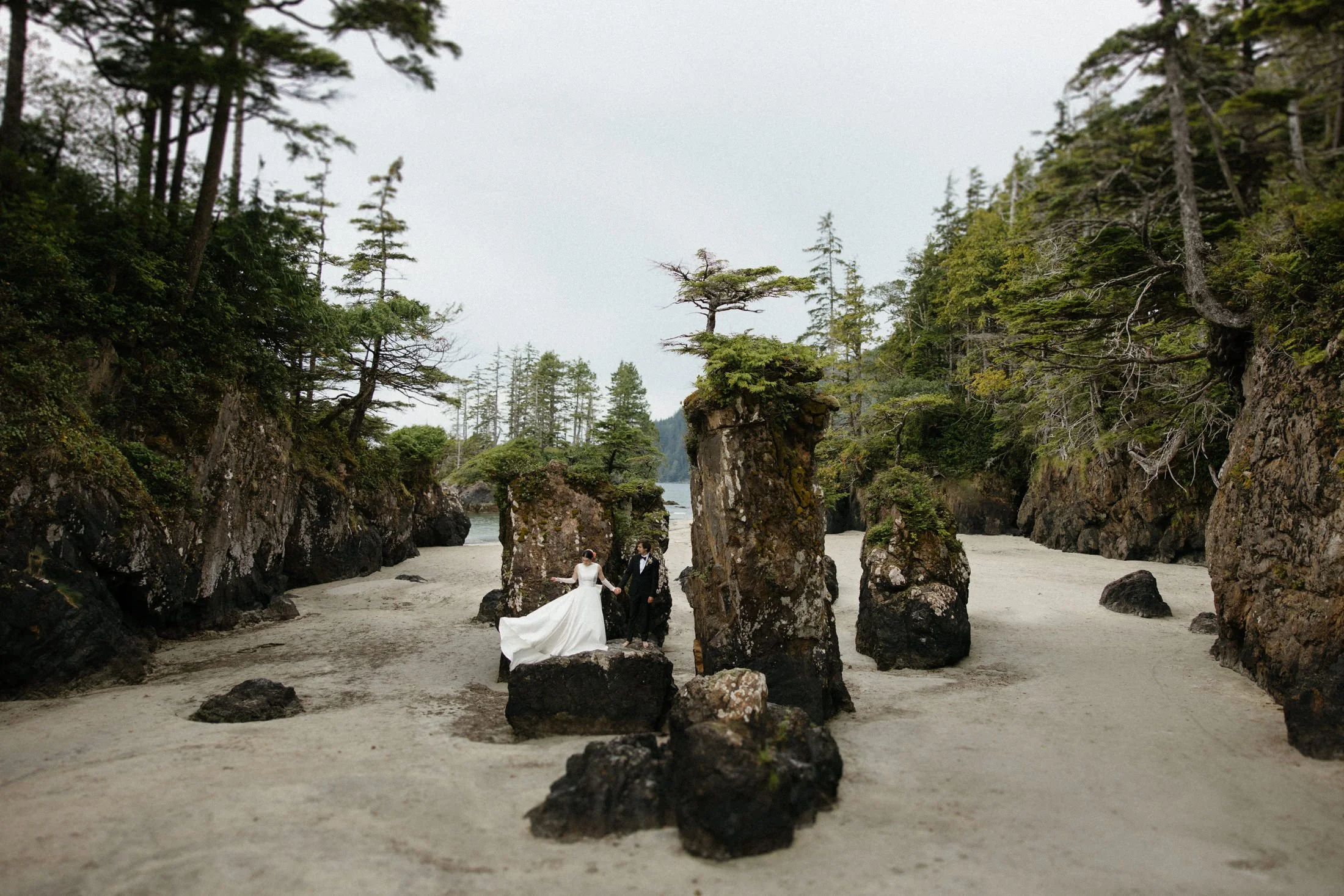 A newly married couple stands on the rocks holding hands with rocks and trees in the background on their elopement day at san josef bay in Cape Scott Provincial Park