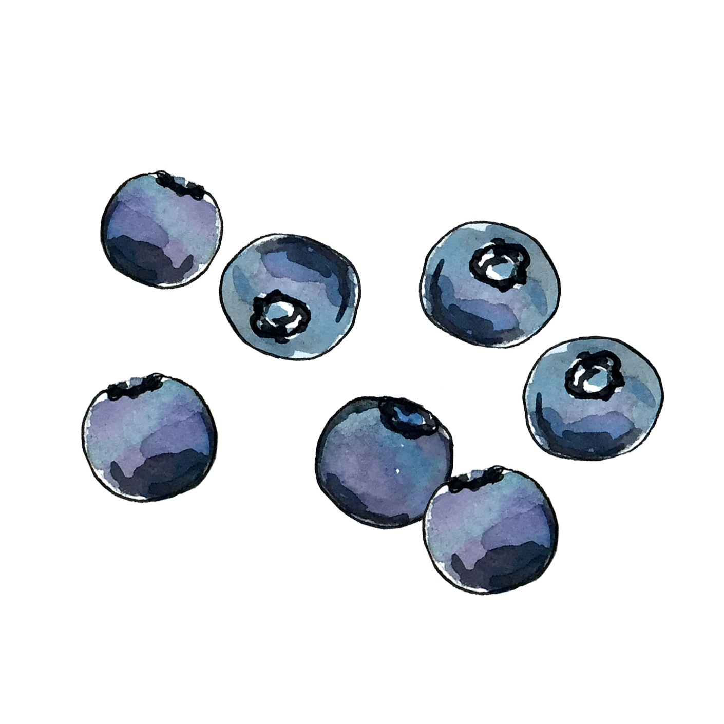 blueberry_june2018_lyndsay.png