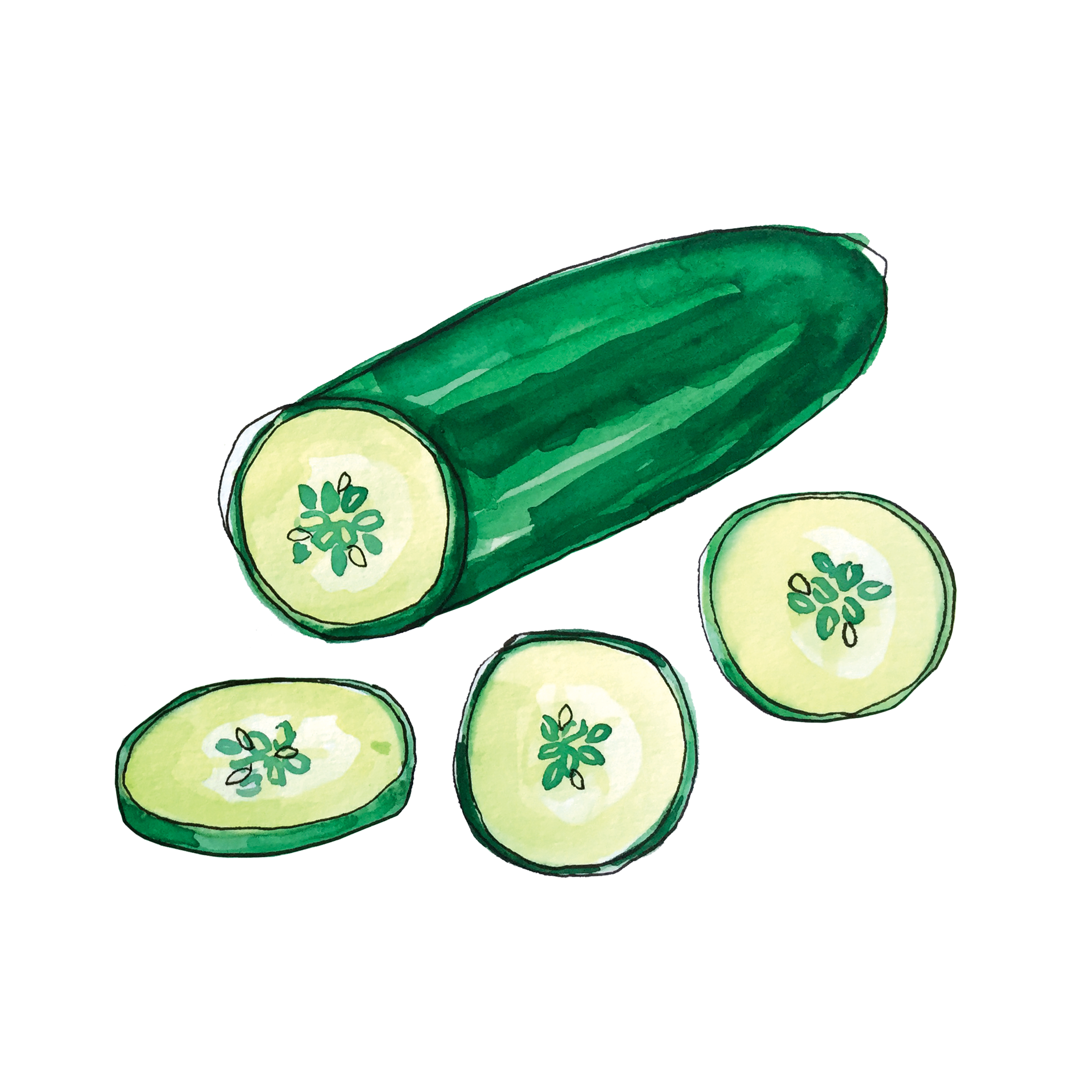 cucumber_june2018_lyndsay.png