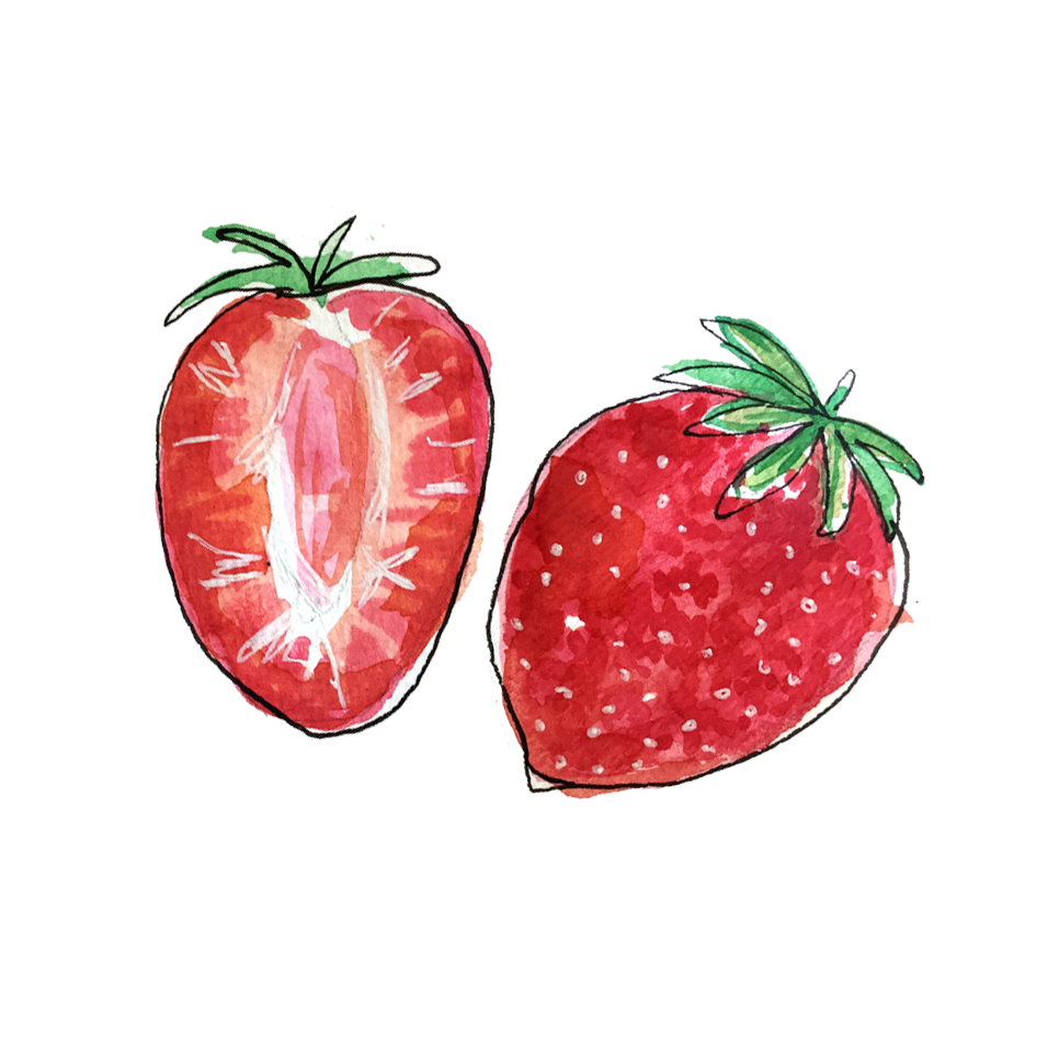 strawberries_june2018_lyndsay.png