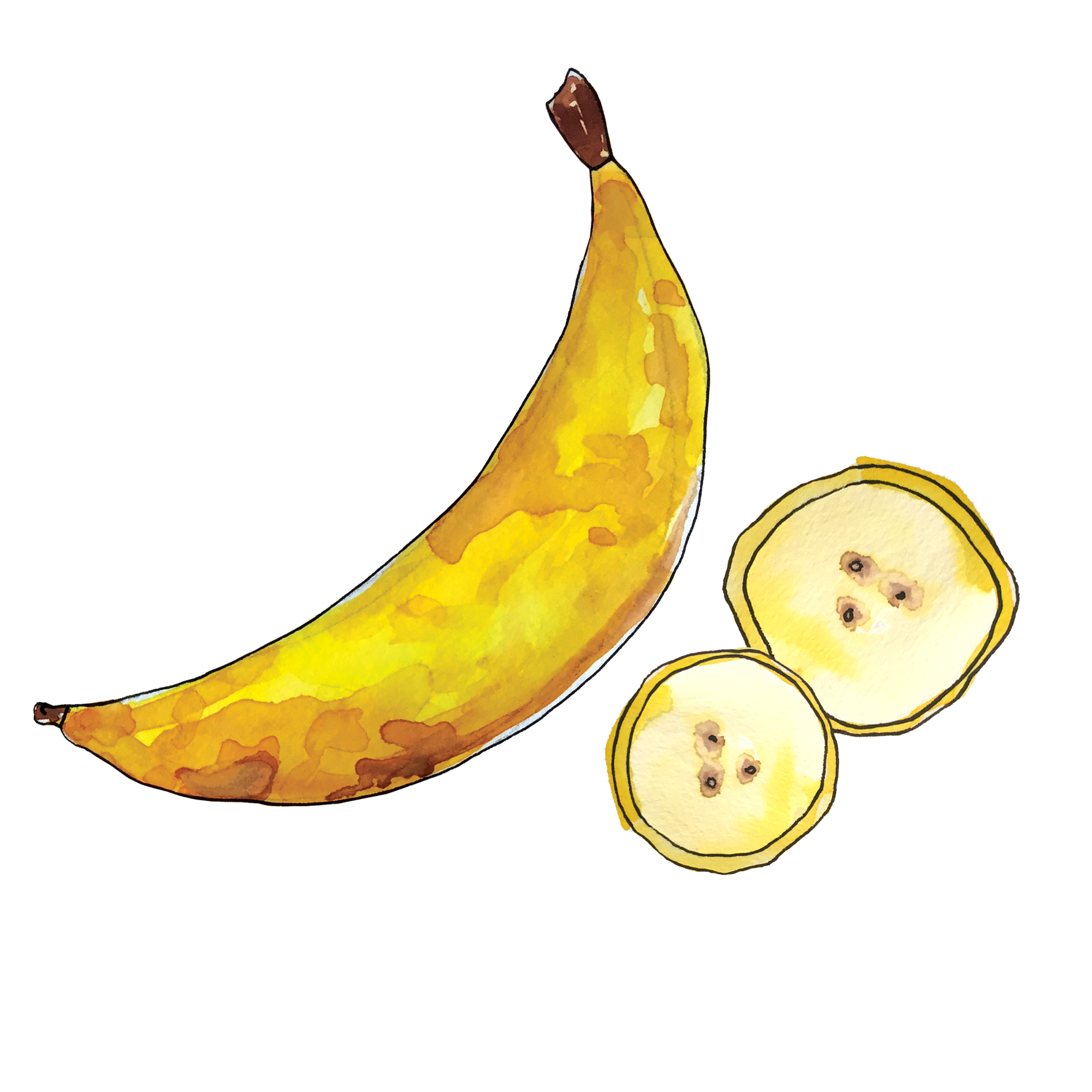 banana_june2018_lyndsay.png