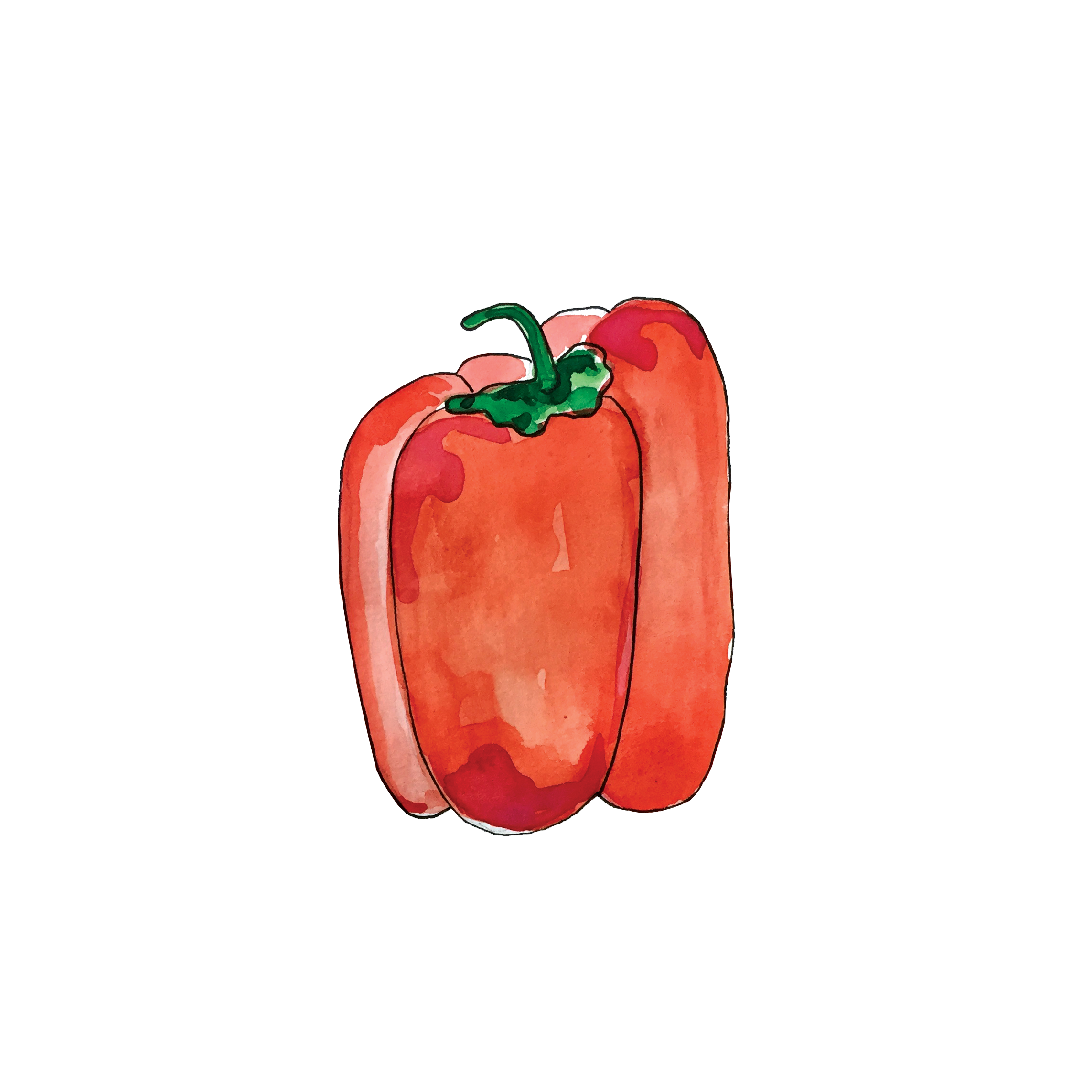 redpepper_june2018_lyndsay.png