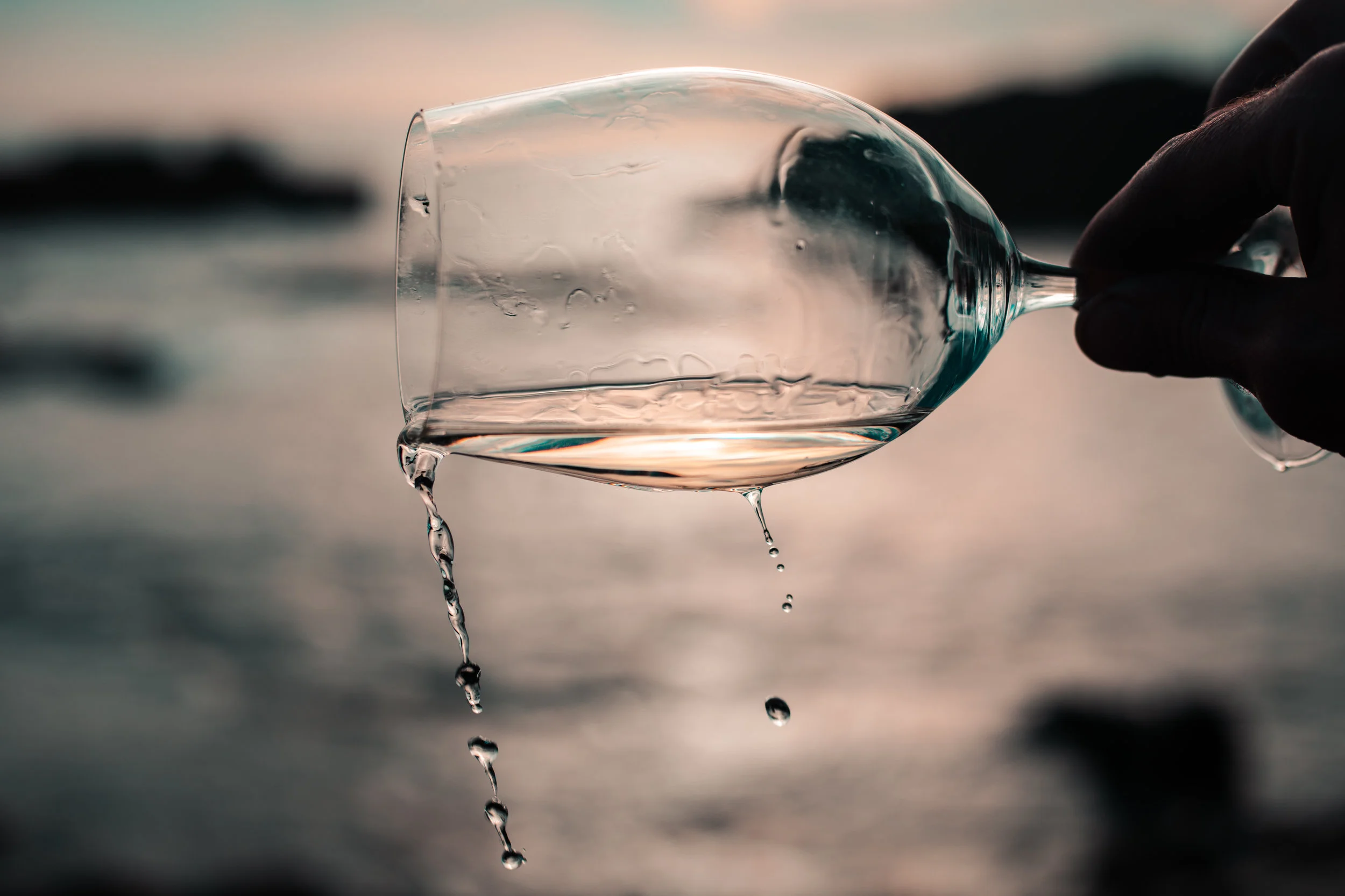 LS (1 of 1)-35.jpg