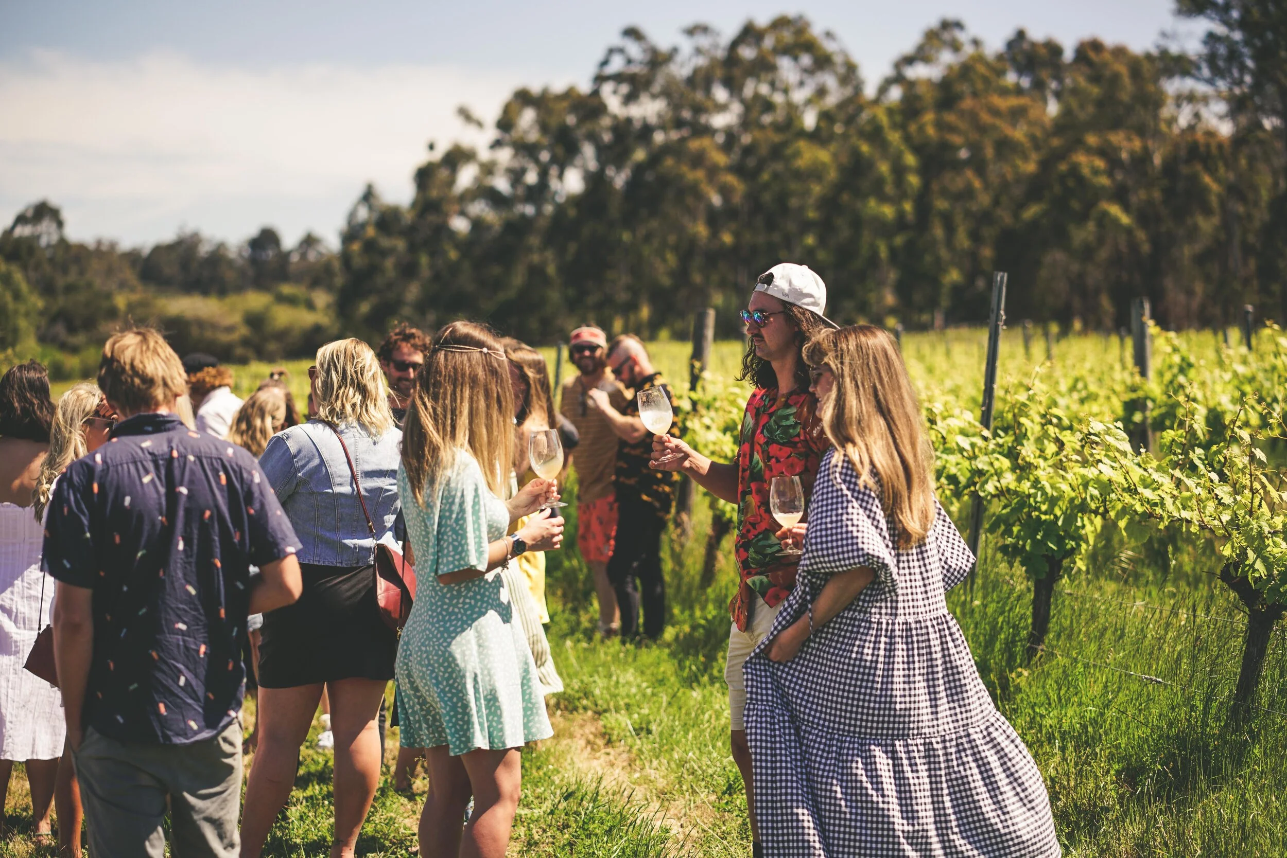 Cellar Door Sunday Sesh w Normal Van