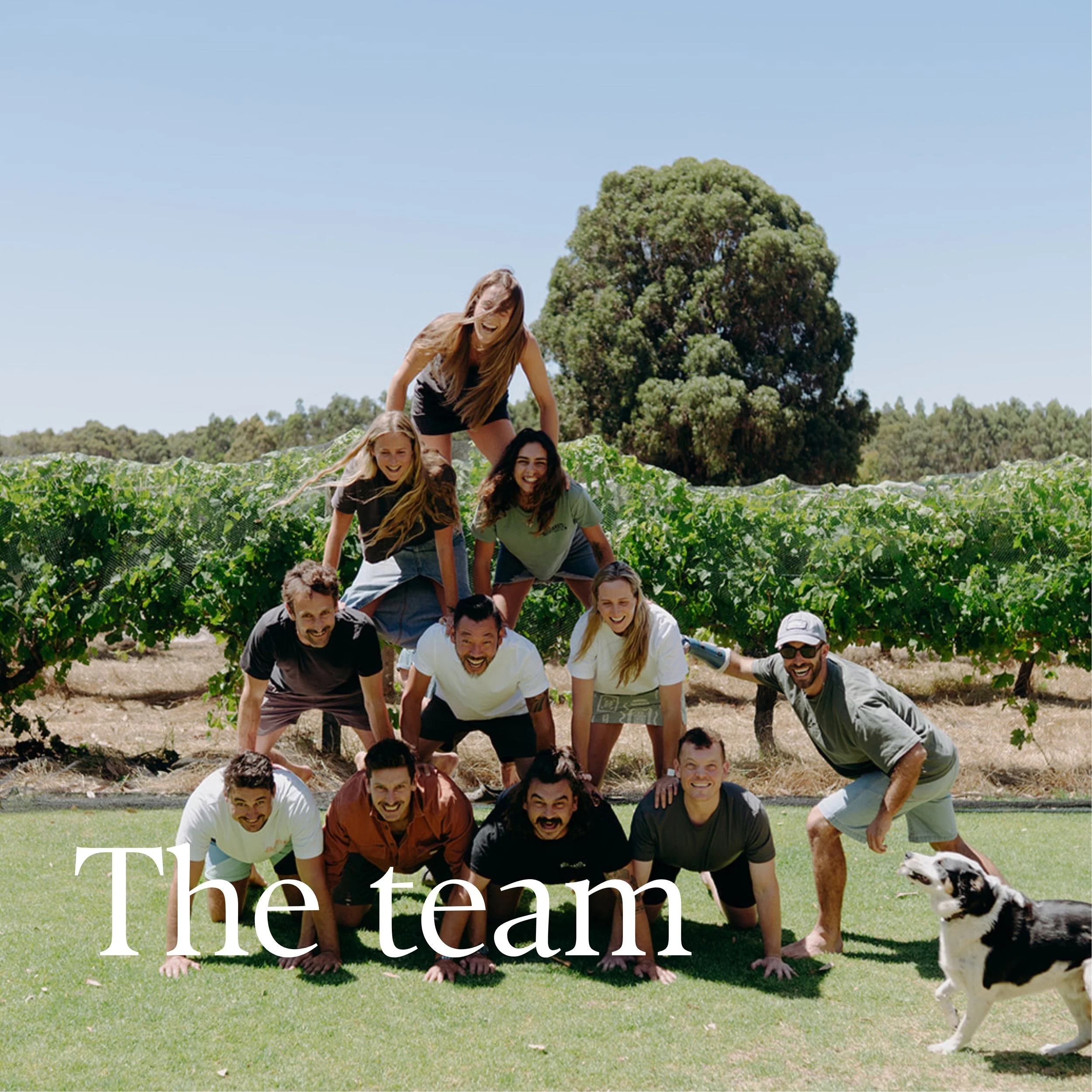 Team shot 