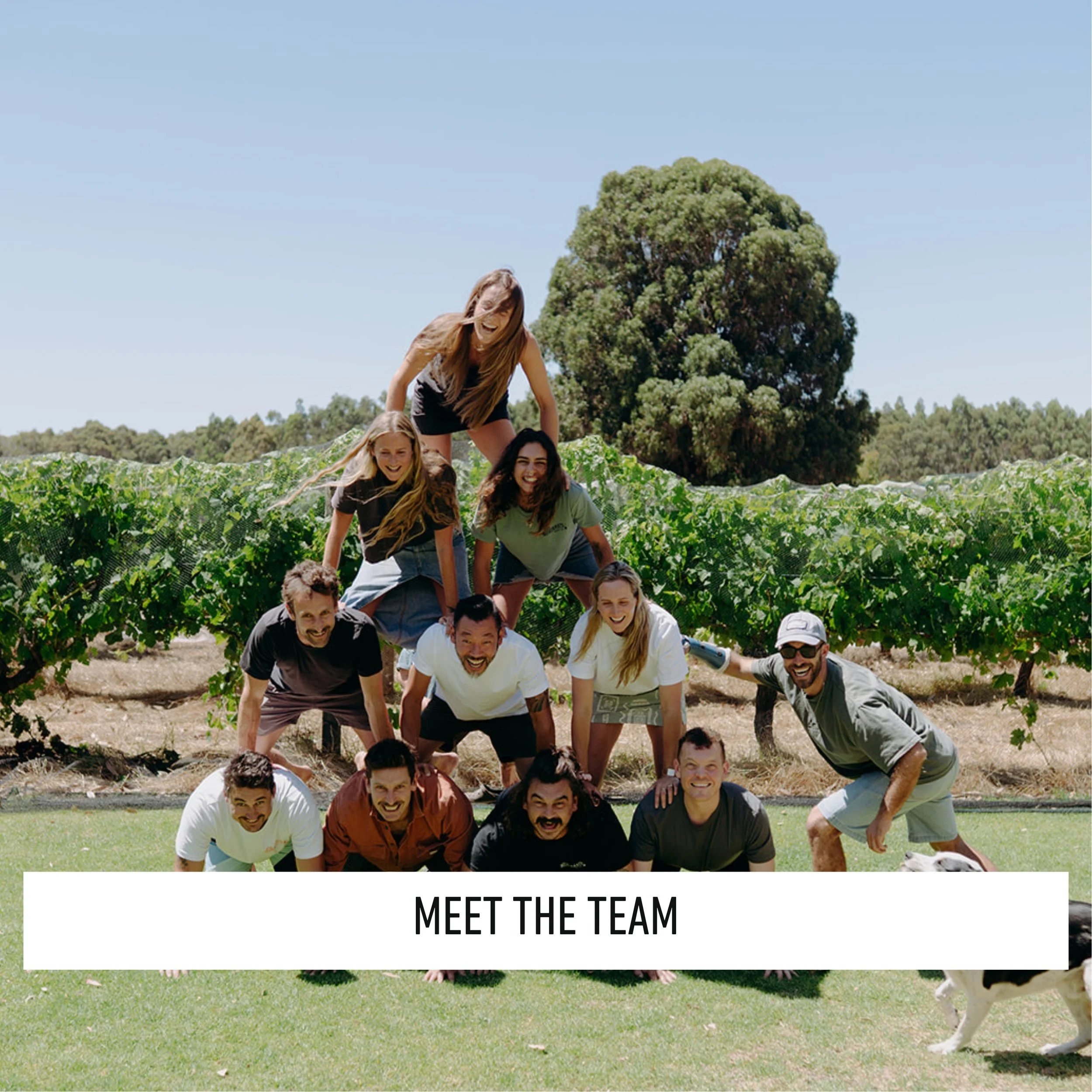 MEET THE TEAM