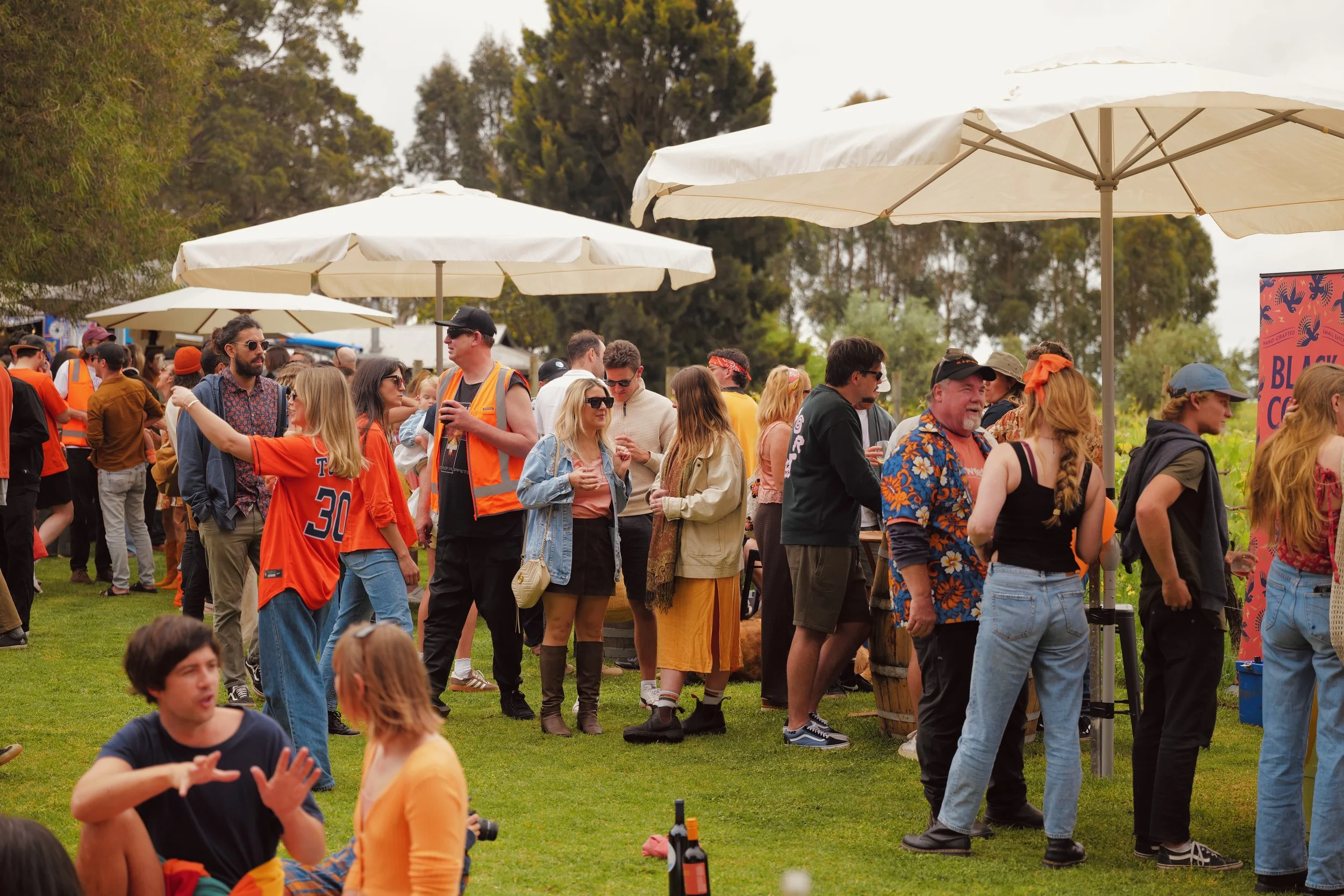 Orange Party - 11.jpeg