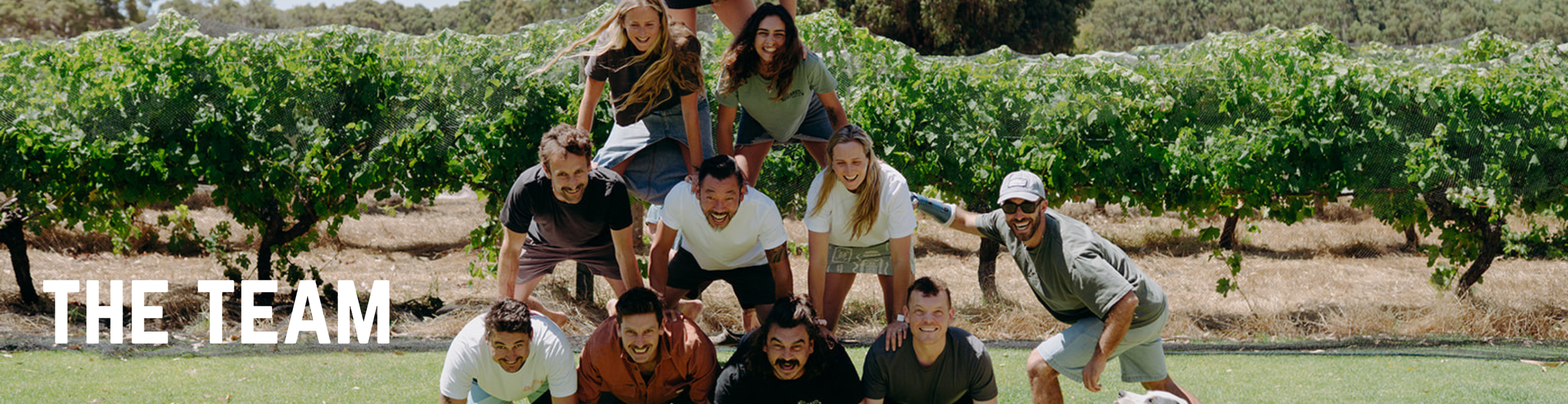 team pyramid link pic