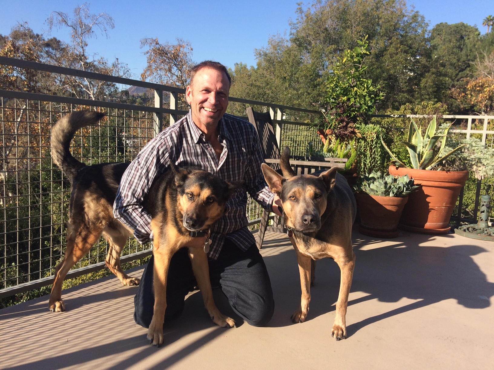 Todd at home with his beautiful rescue mutts Buddy and Henry