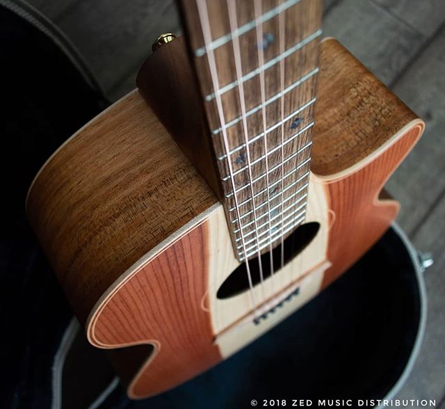 A close up look at the River Sheoak finger board on this beautiful Angel 2 Redwood Blackwood.
Available now! #redwood #california
Contact us here at ColeClarkUK to find out more and get in touch with Zed Music Distribution to find your nearest Cole Clark dealer and get your hands on one! @zedmusicdistribution
Photo and Copyright owned by Zed Music Distribution.
#coleclark #coleclarkguitars #redwood #california #big #grain #oneofakind #rare #worldsmostnaturalpickup
#acousticguitar #acousticaguitar #acoustic #guitars #guitarist #guitar #guitarsdaily #guitarspotter #guitarsarebetter #guitarcover #zedmusicdistribution #martin #taylor #fender #gibson