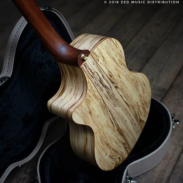 @gatlingguitars have this stunning spalted European Maple back Angle on stock now!
#sheffield #new #unitedkingdom #maple #european #spalted #first #oneofakind #oneandonly
Contact us here at ColeClarkUK to find out more and get in touch with Zed Music Distribution to find your nearest Cole Clark dealer and get your hands on one! @zedmusicdistribution
Photo and Copyright owned by Zed Music Distribution.
#coleclark #coleclarkguitars #redwood #california #big #grain #oneofakind #rare #worldsmostnaturalpickup
#acousticguitar #acousticaguitar #acoustic #guitarist #guitar #guitarsdaily #guitarspotter #guitarsarebetter #guitarcover #zedmusicdistribution