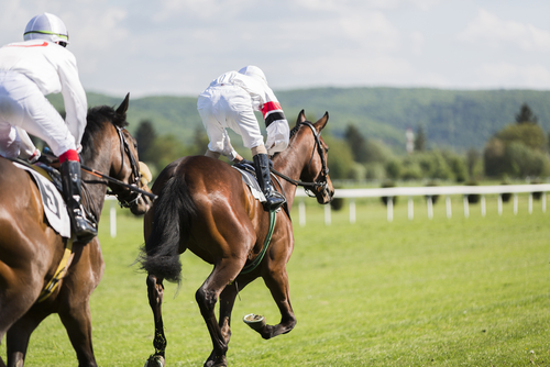 Bath Racecourse is a stunning venue for horse racing and events, on the hillside on the perimeter the city.
