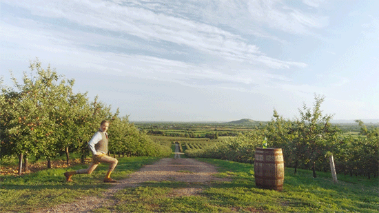 Lunge-10.gif