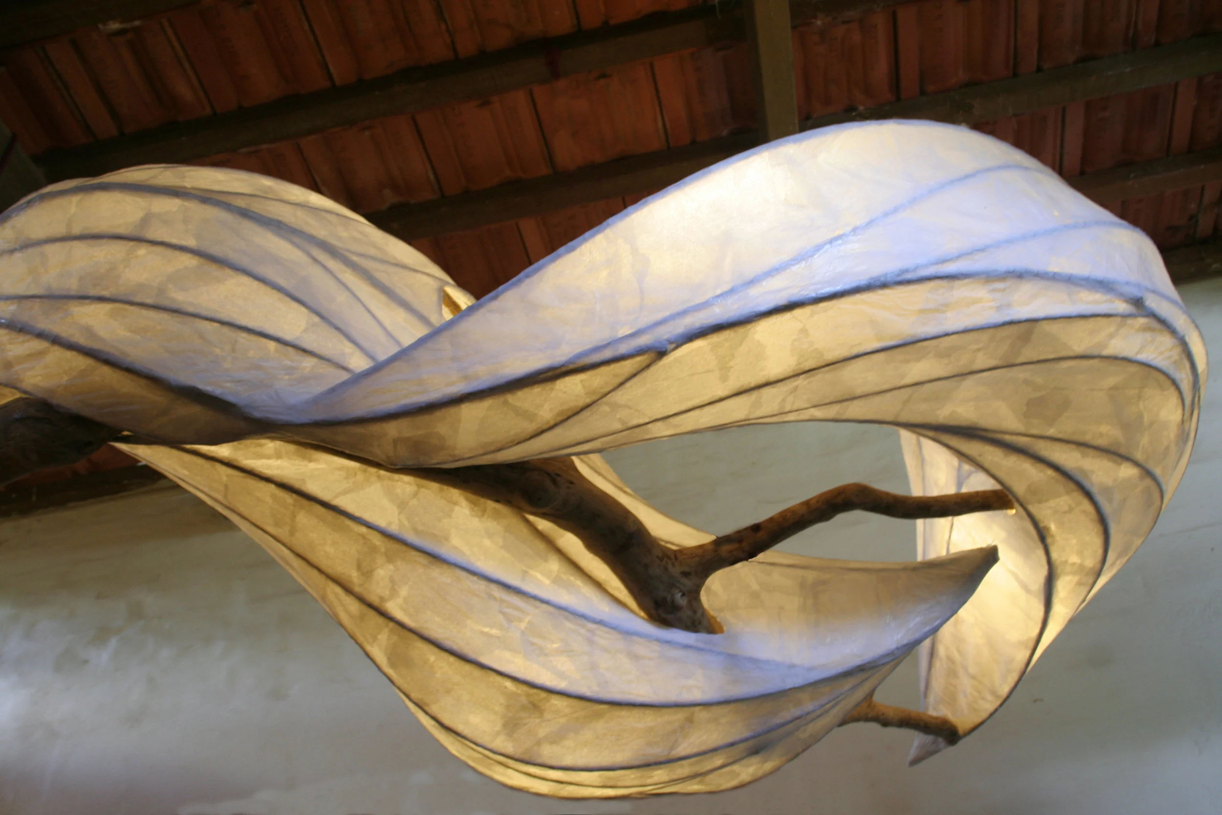 franziska sommerlatte  seeds of light.JPG