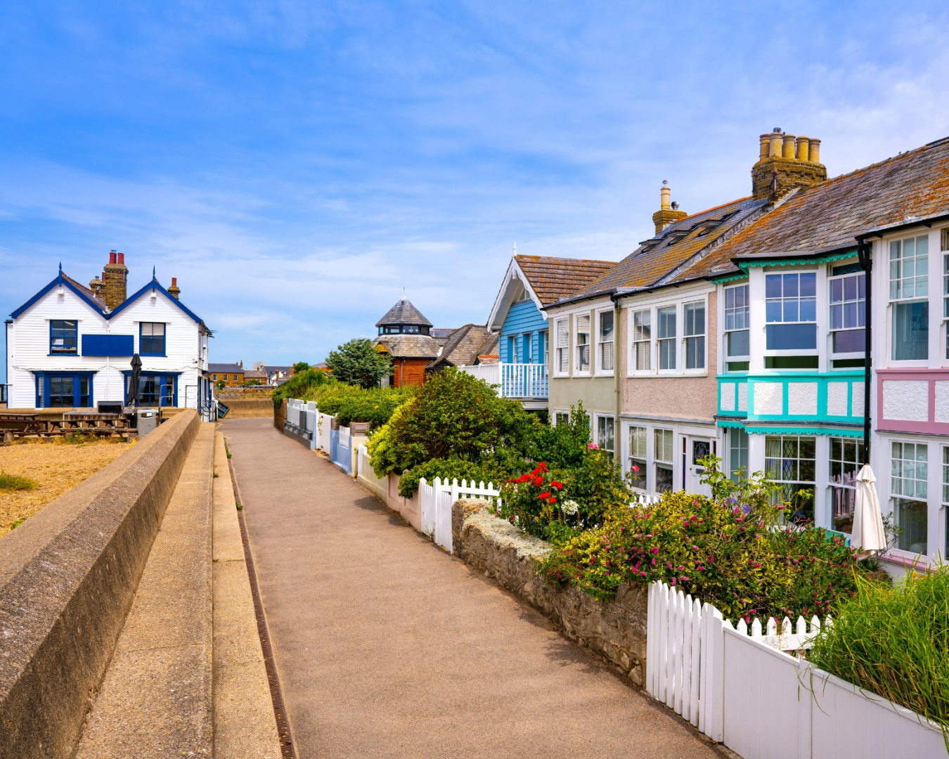 Background Image-8.png