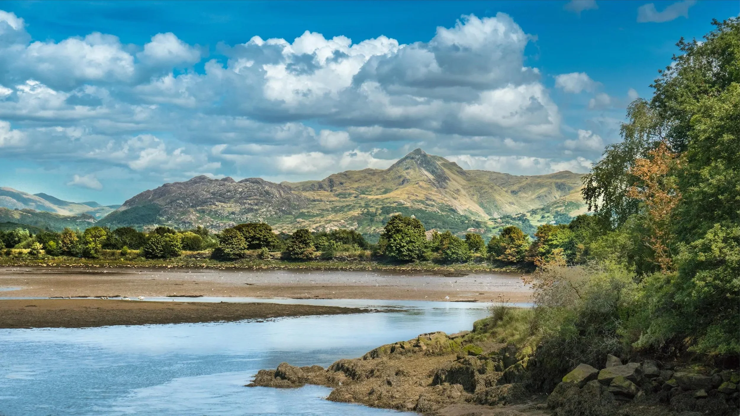 WhatsApp Image 2025-04-29 at 13.05.12.jpeg