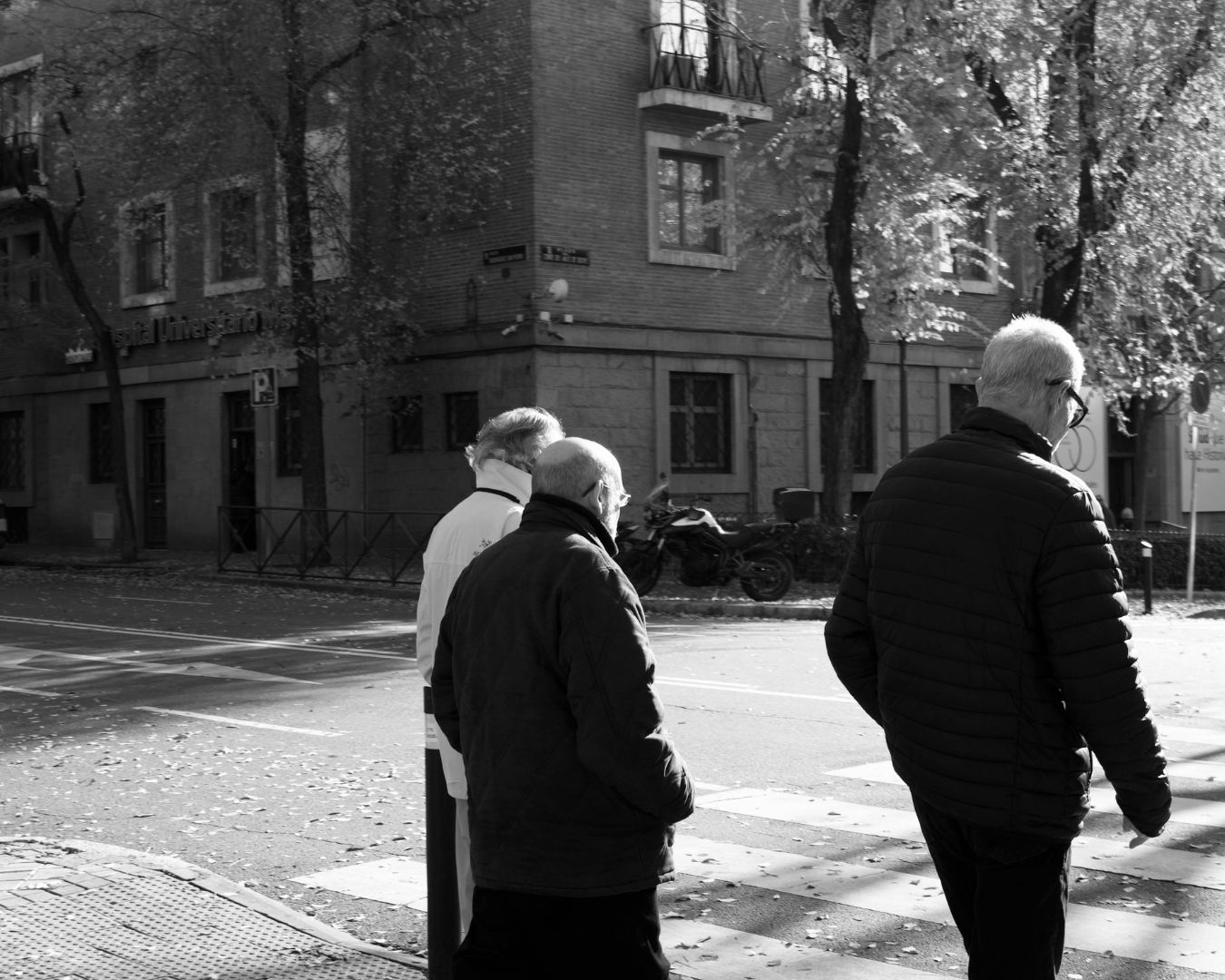 Background Image-6.png