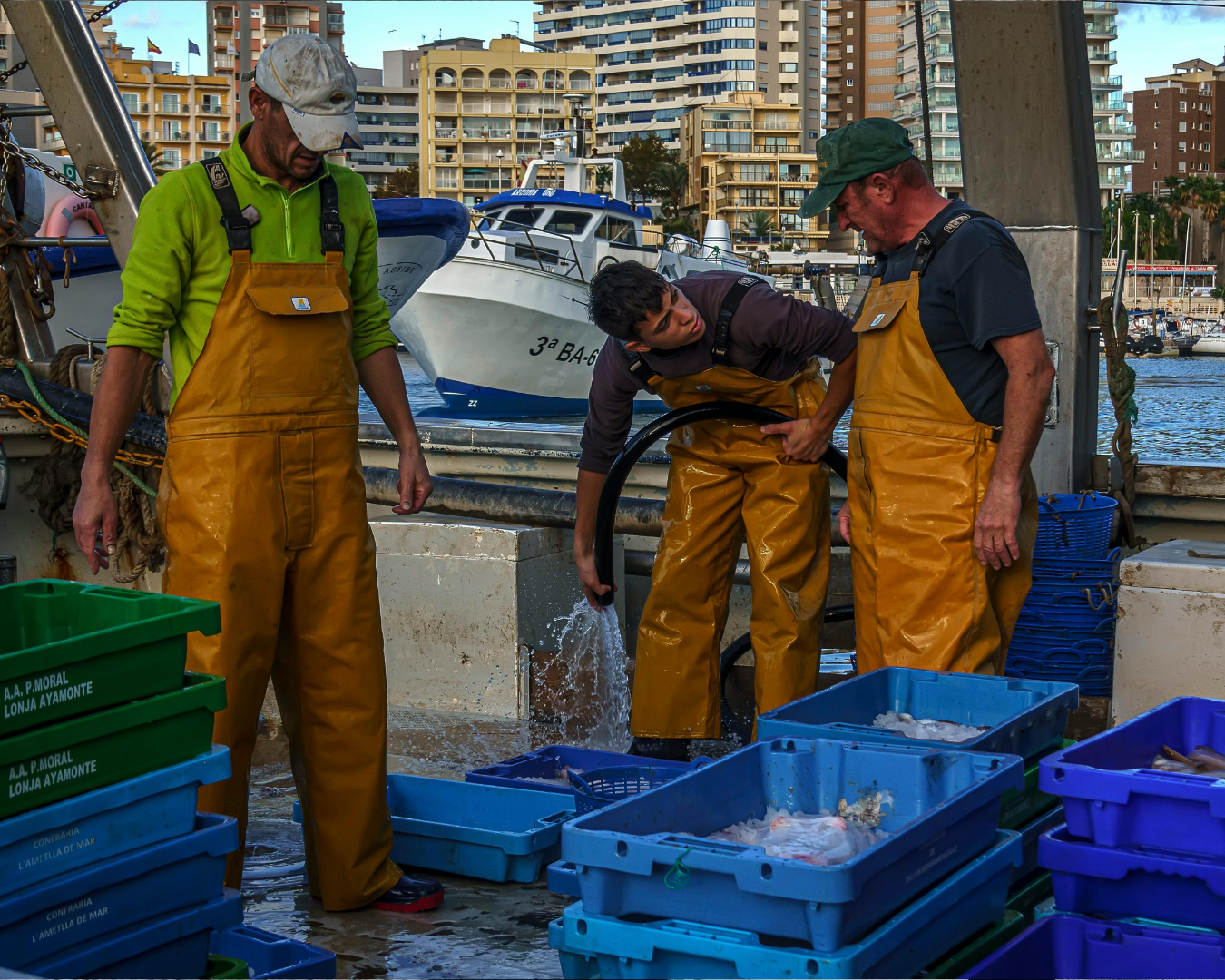 Background Image-7.png