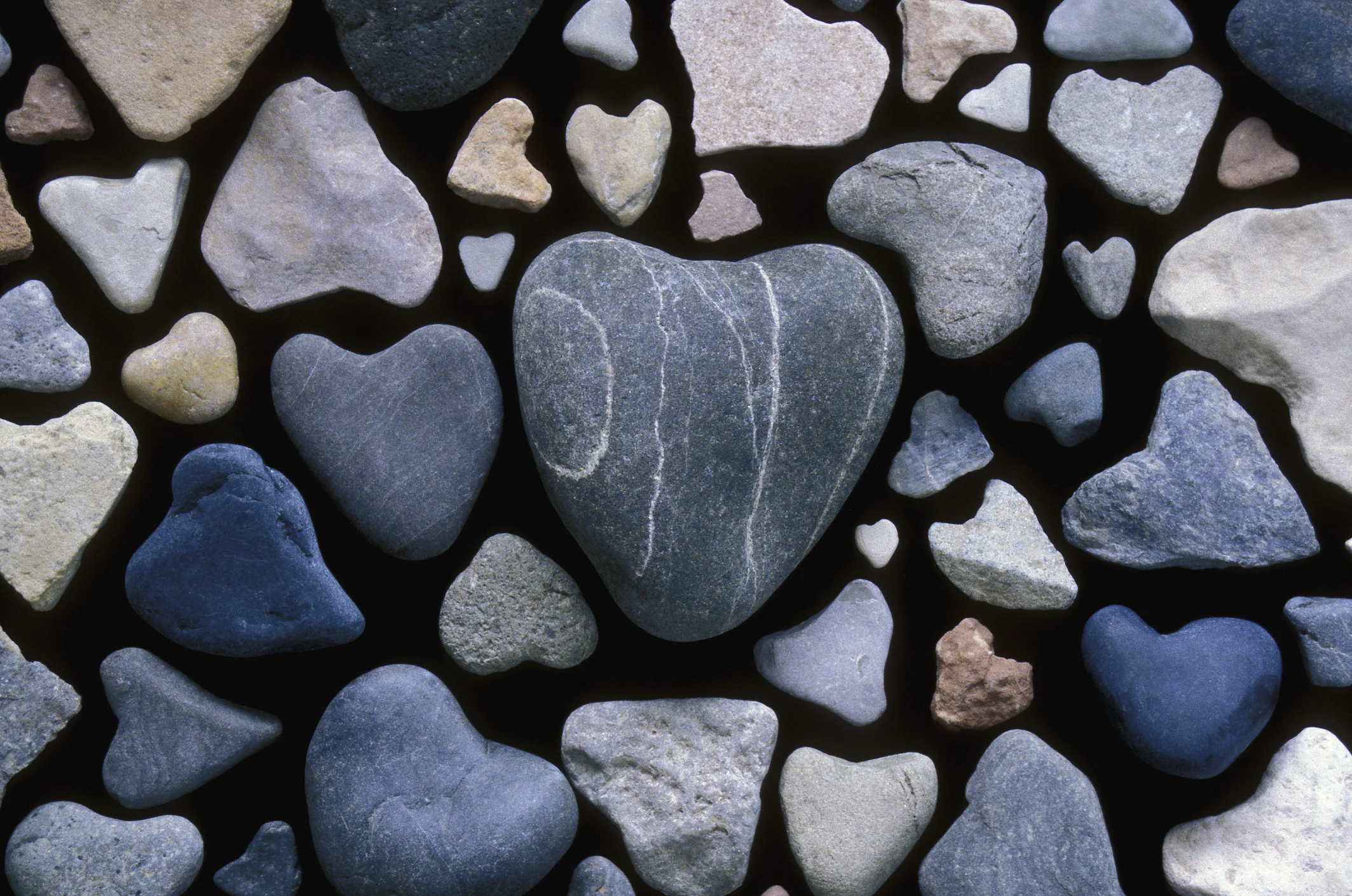hearts.jpg