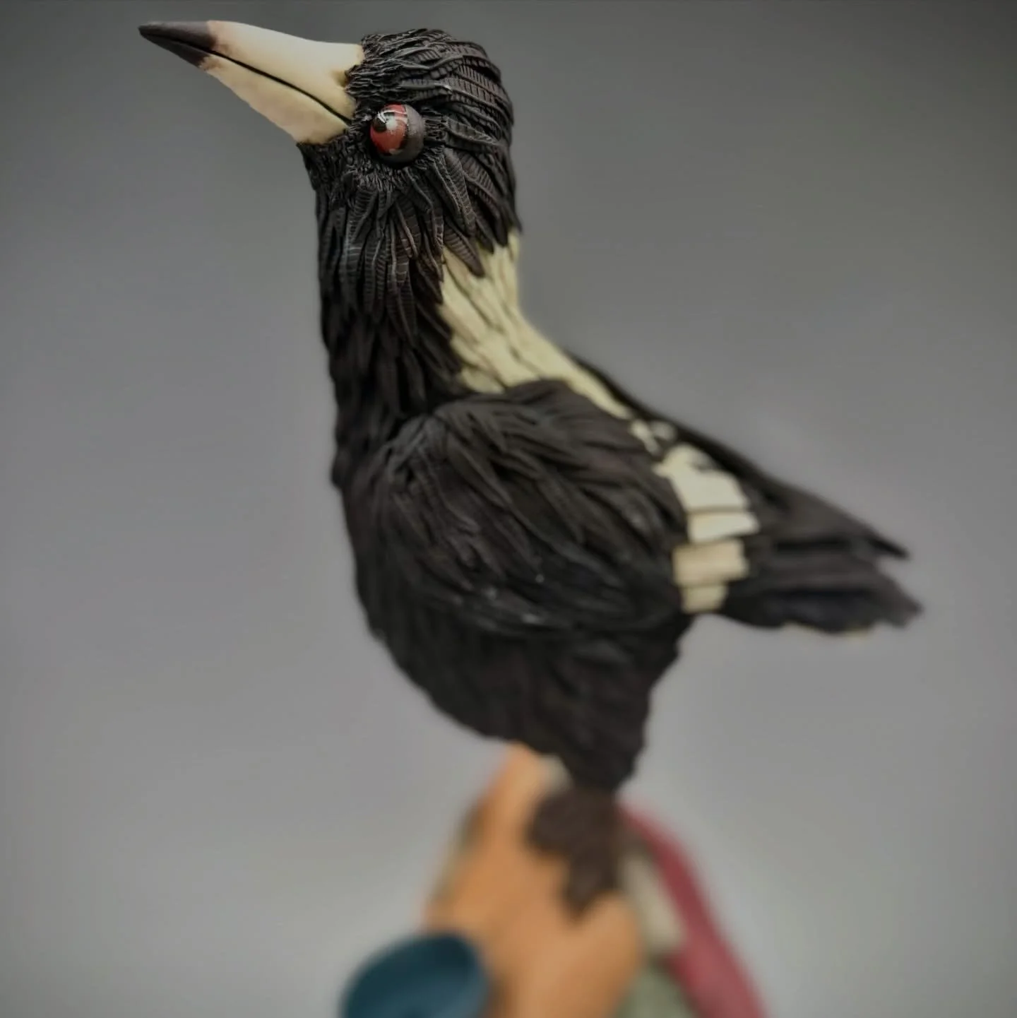 Open Studio next Sunday the 14th Dec from 10am - 4pm at 27 McCabe street Mosman Park, WA . 10% of all my sales during Open Studio go to Black Cockatoo Conservation  and the Kaarakin Black Cockatoo Conservation Centre.

https://blackcockatoorecovery.c