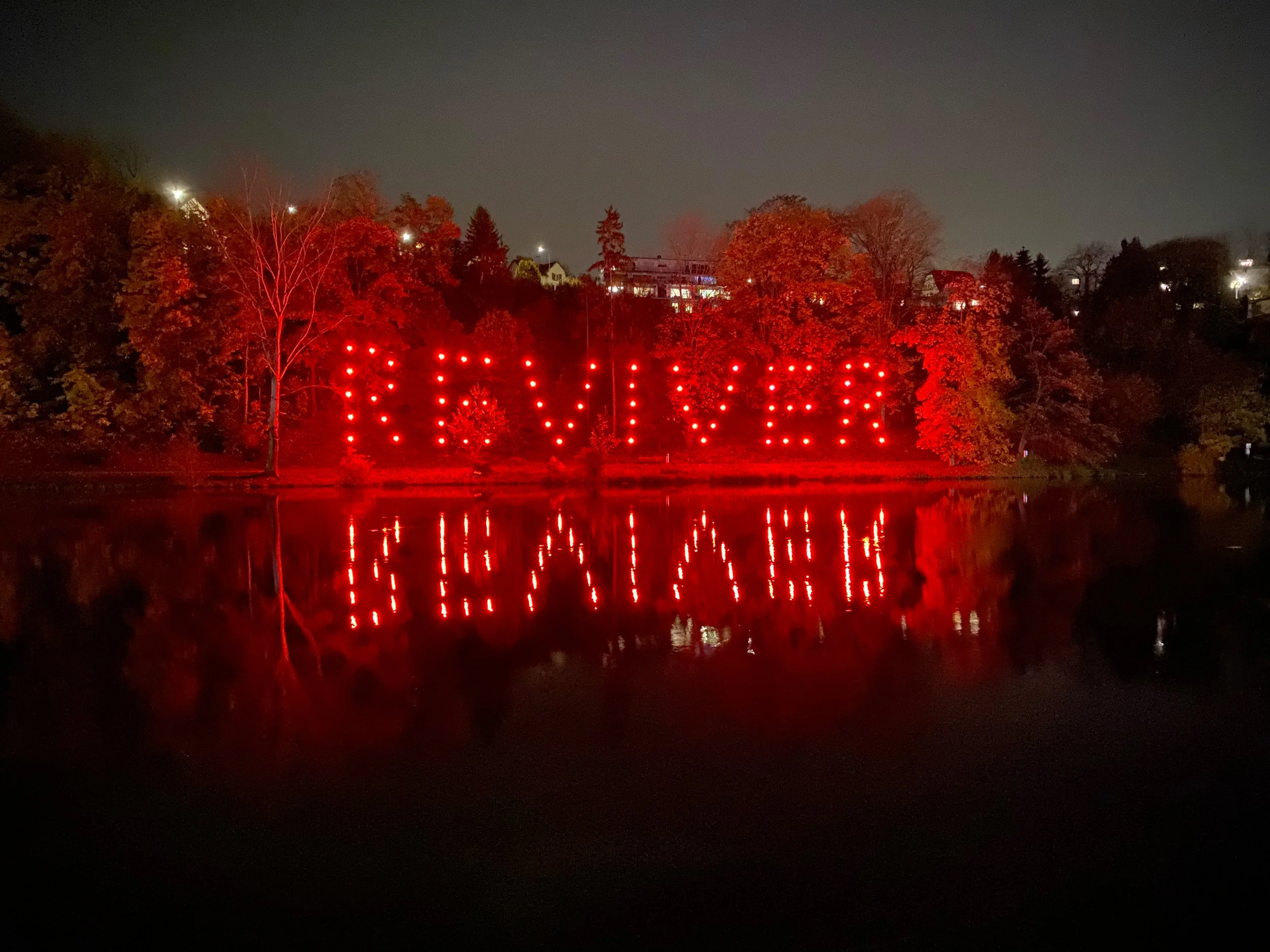 Angelika Shaba Dreher_Reviver 2025.jpg