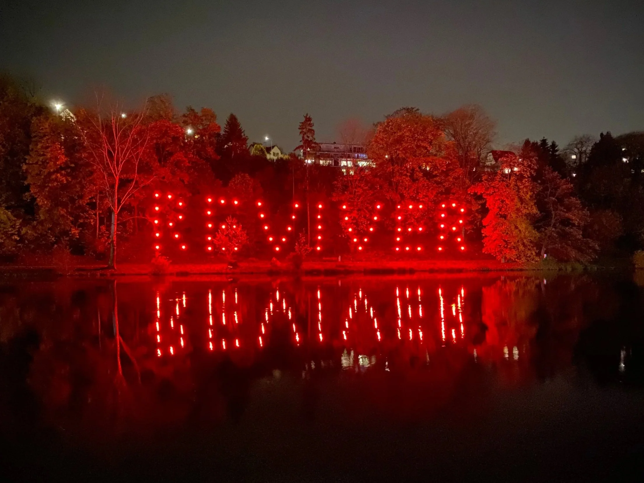 Angelika Shaba Dreher_Reviver 2025.jpg