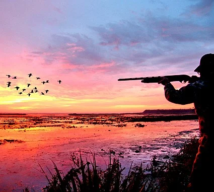 florida_duck_hunting_2.jpg