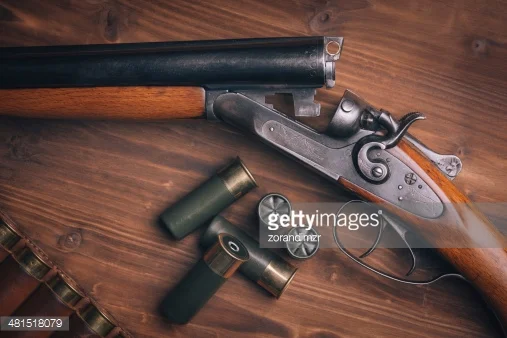 Photo by zorandimzr/iStock / Getty Images