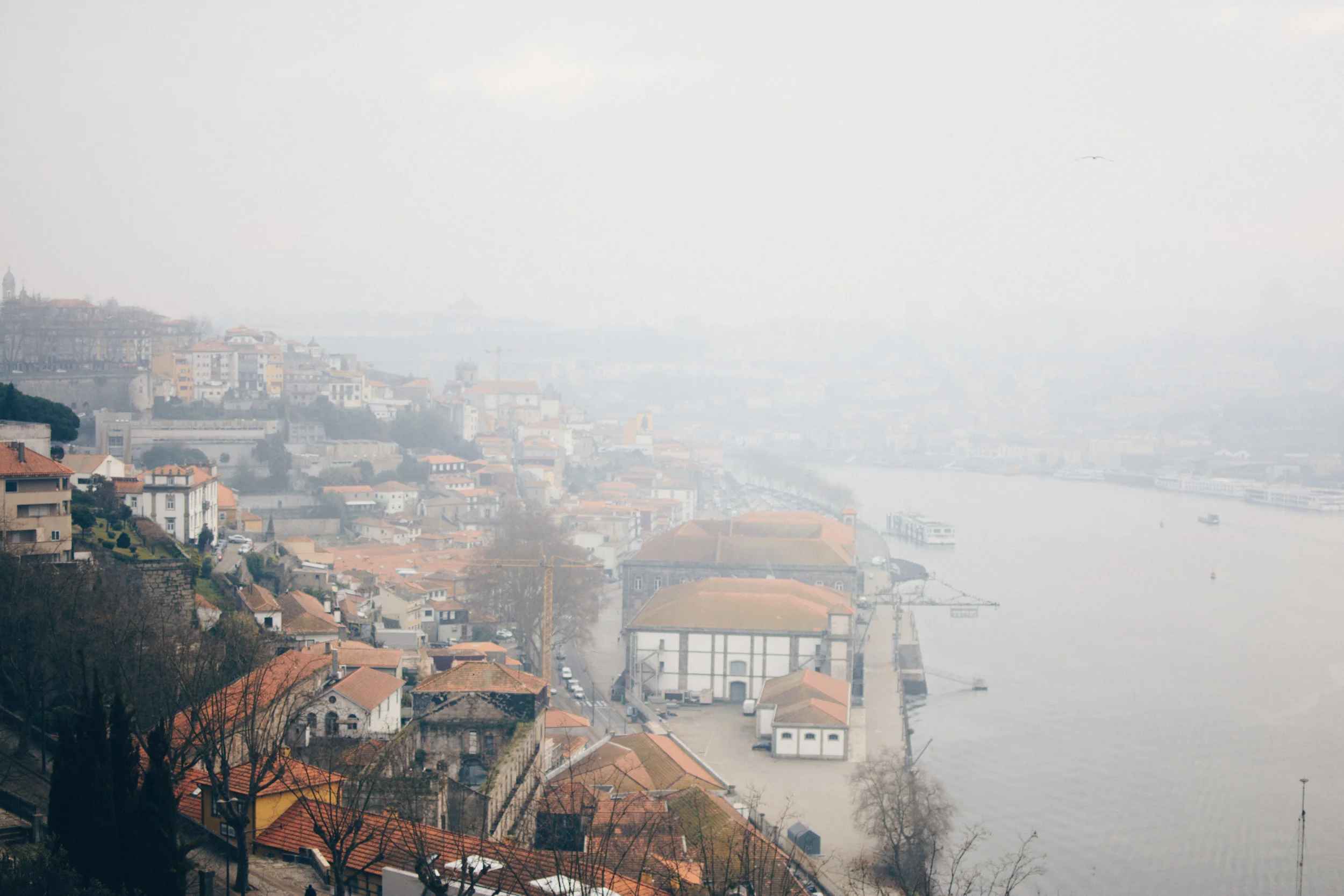 Europe-Porto-331.jpg