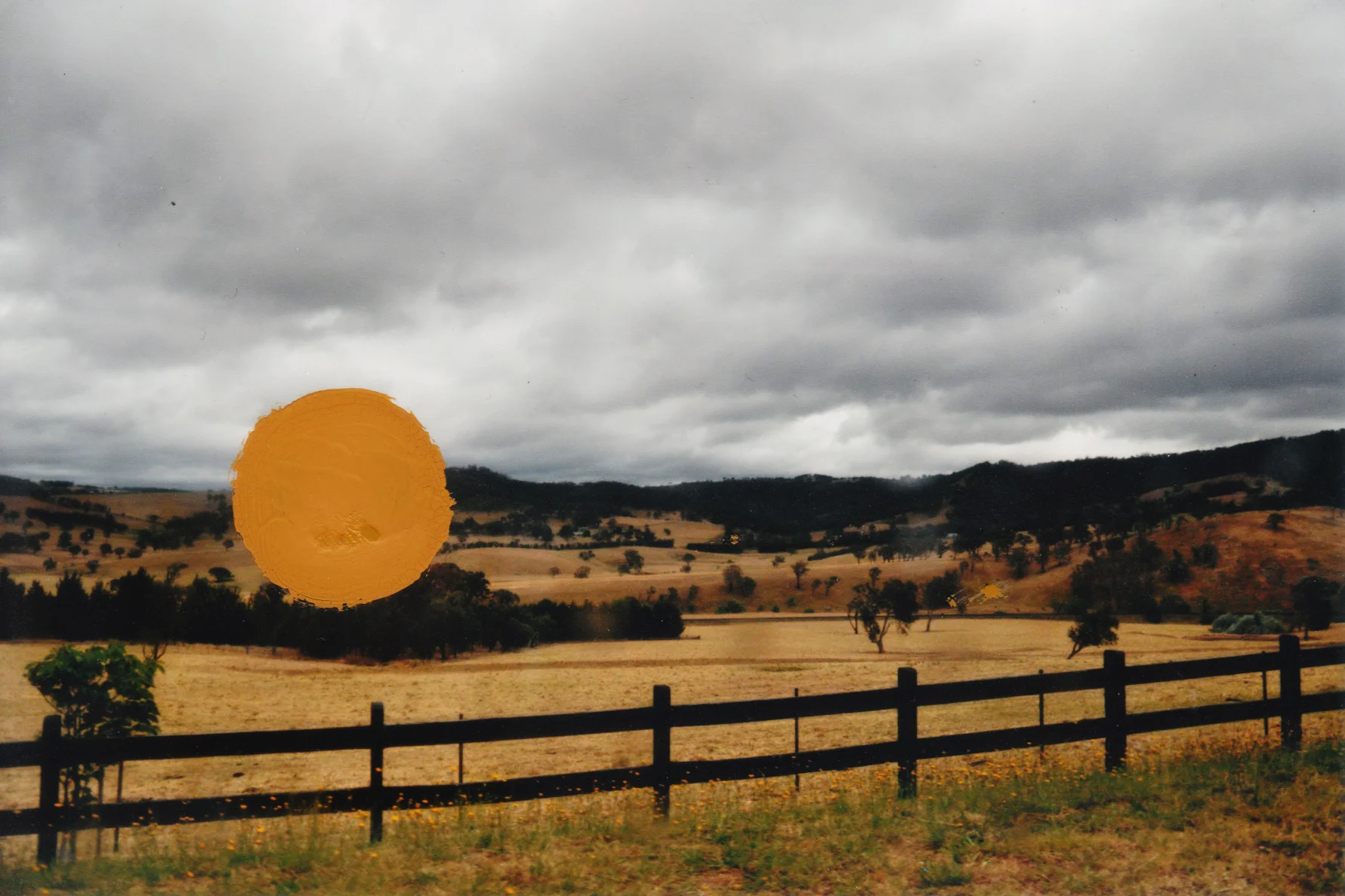Painting on photos4.jpeg