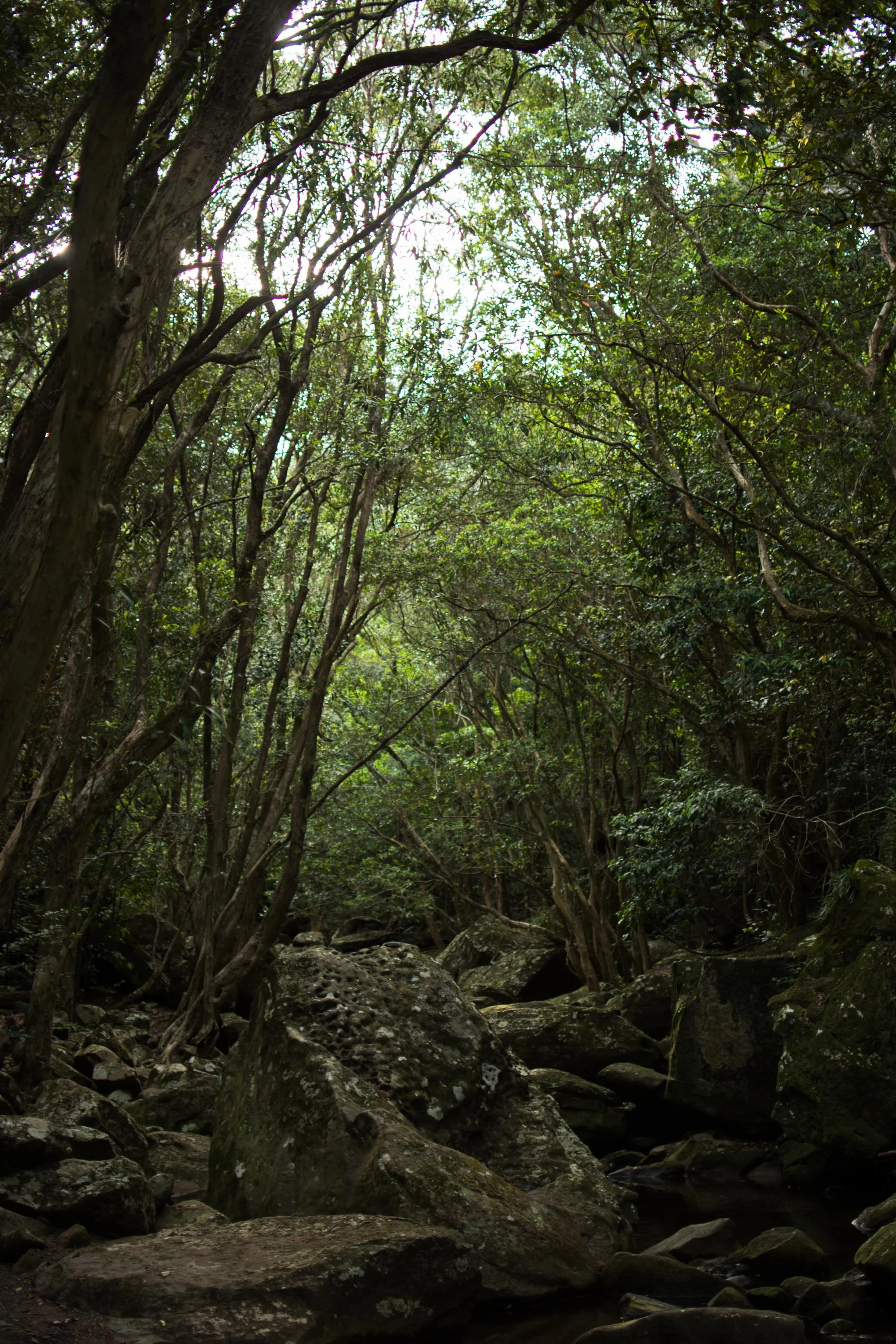 Glenrock climbs-5253.jpg