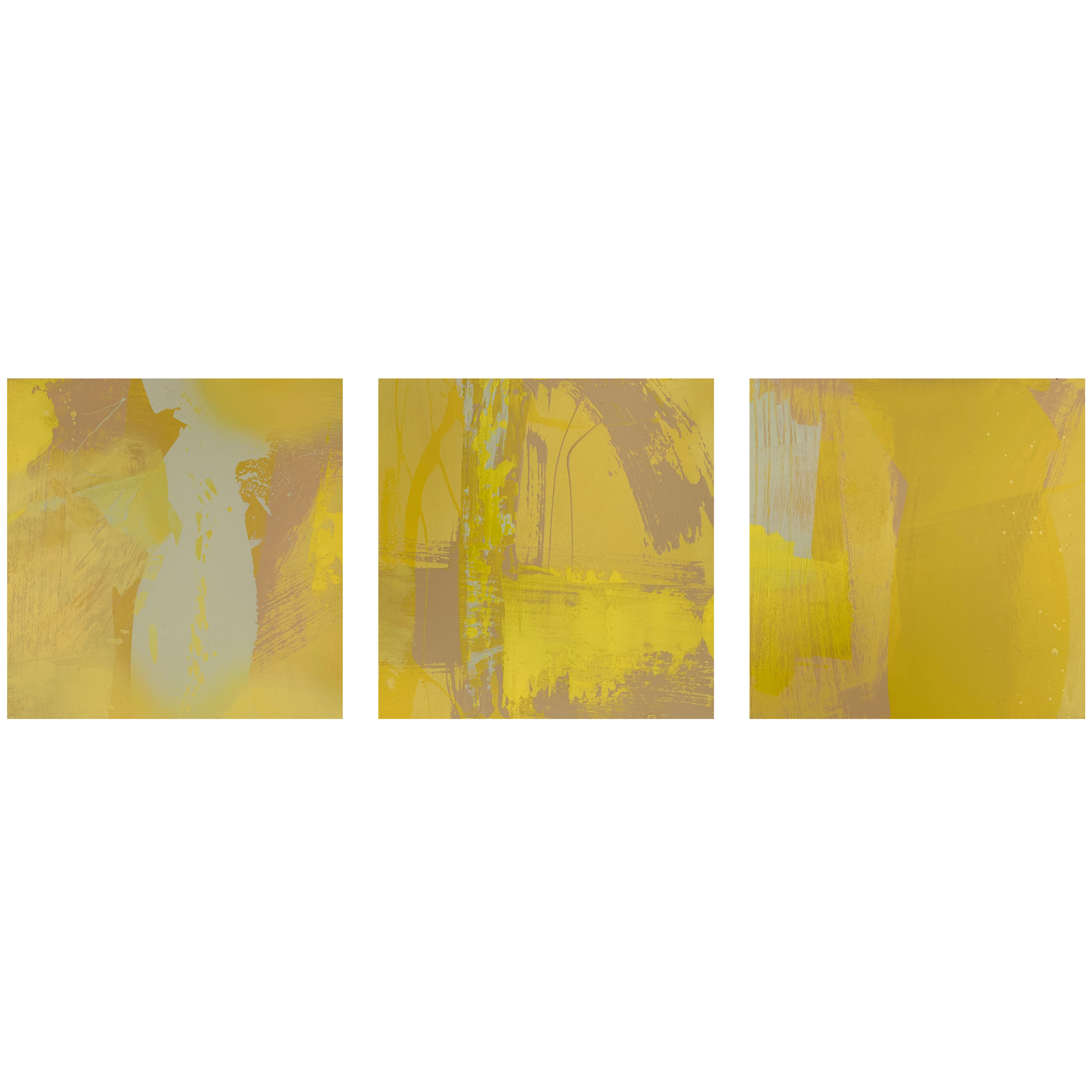 A6F3C885-3D0A-4AC6-8A73-5F17B8C699CD