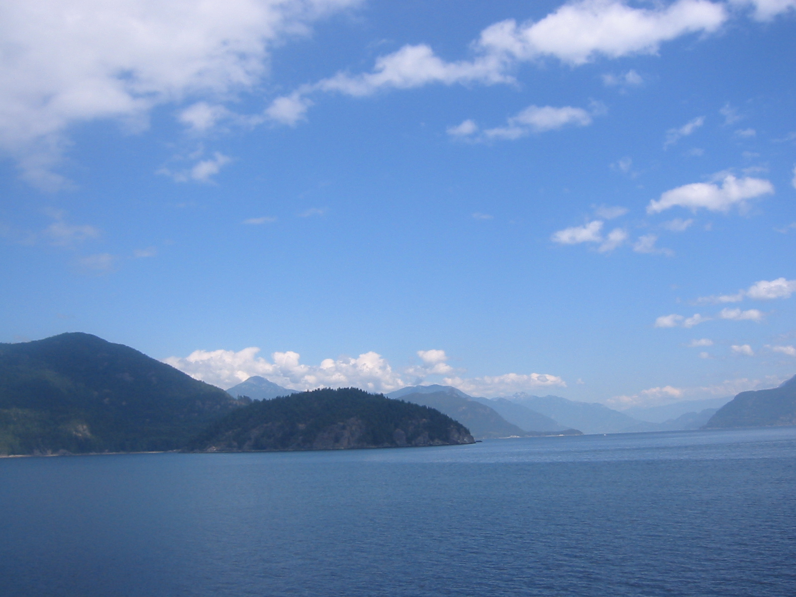 105-0596_IMG.JPG