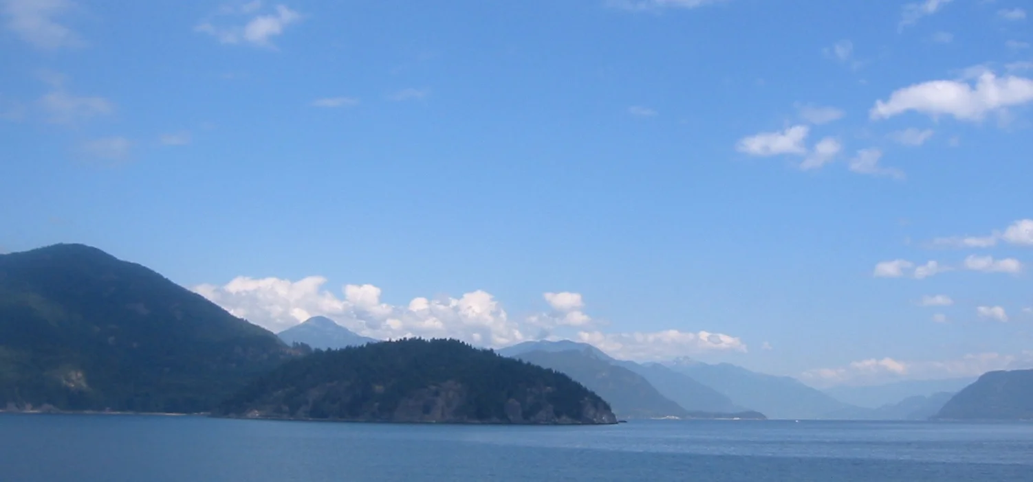 105-0596_IMG.jpg