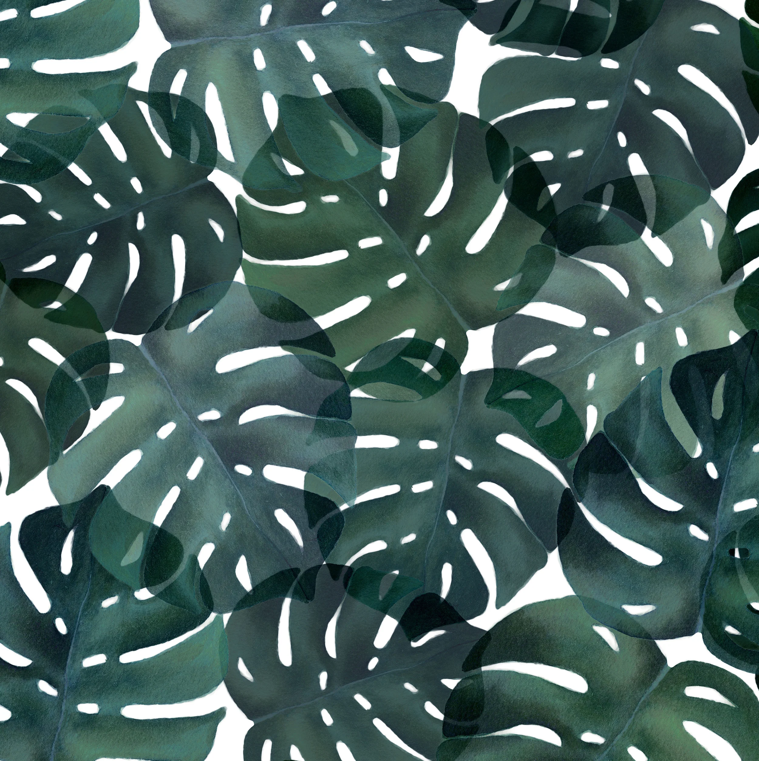 overlap leaves.jpg