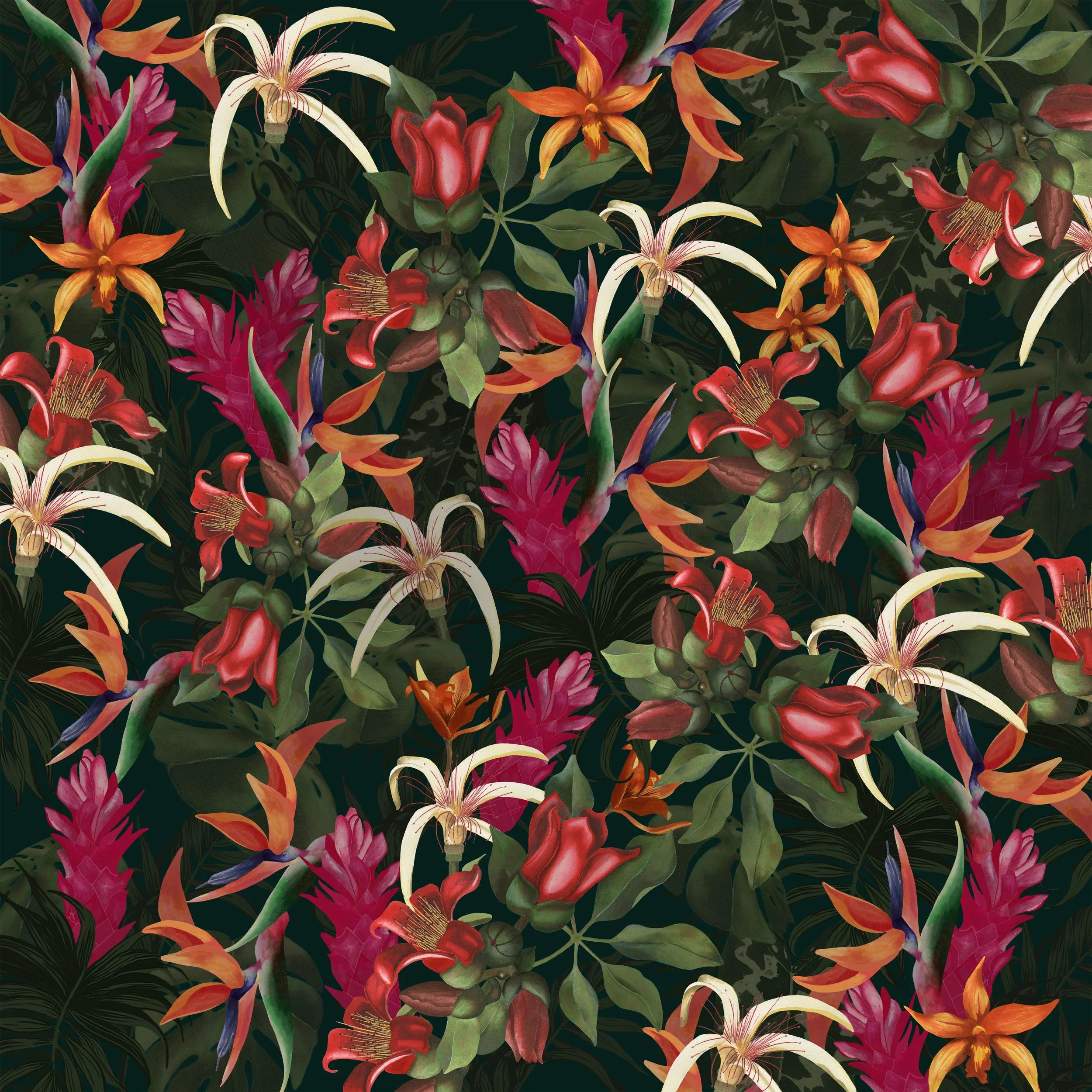 tropics .jpg