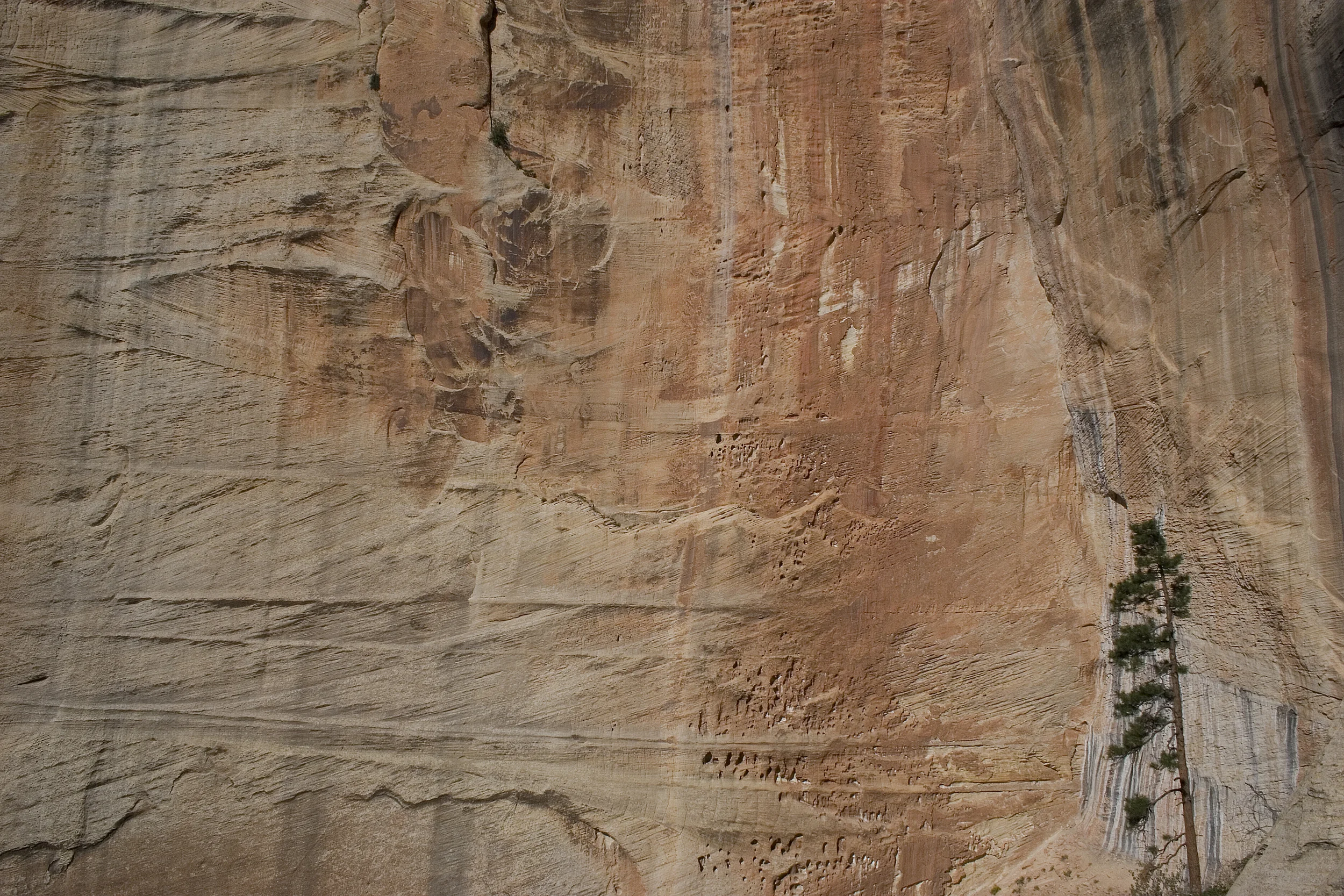 Zion 2009_063.jpg