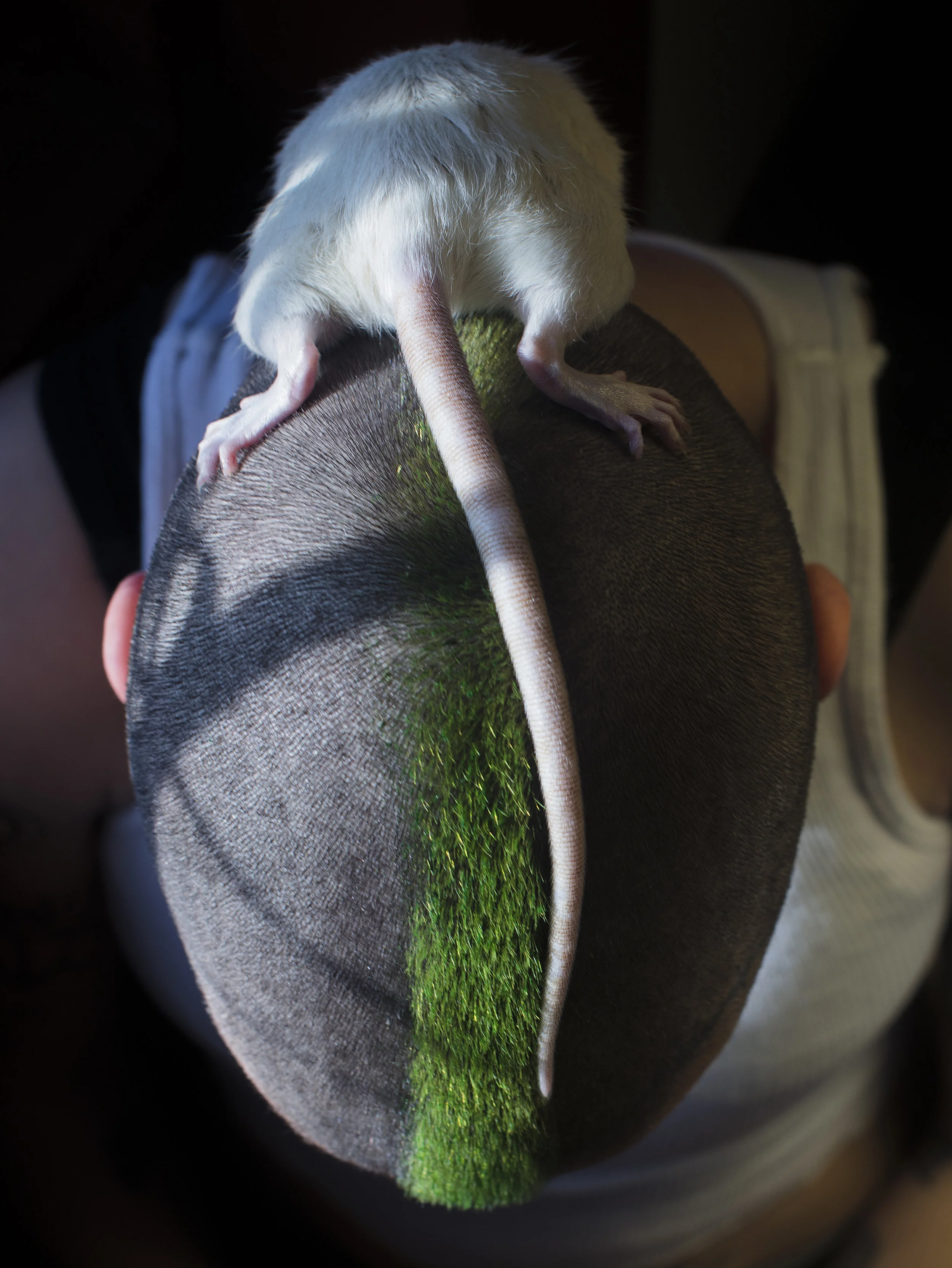 marcharrismiller_EmbodyingHair_redhooklabs_2018_1.jpg