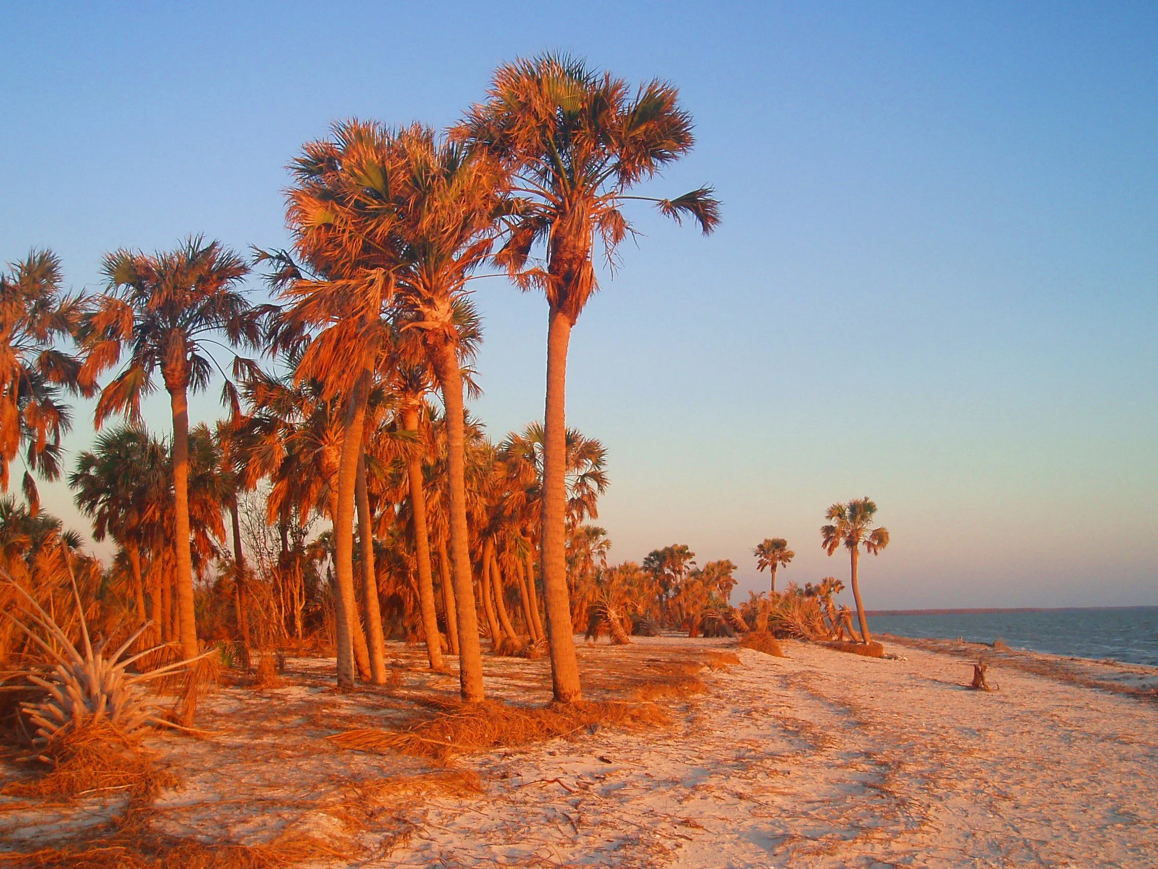 Sundown in the Everglades.JPG