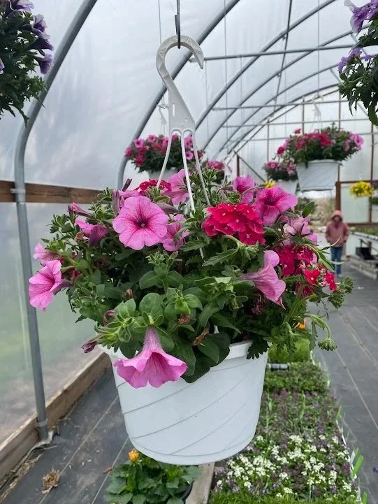  "Supermom" Hanging Basket - $20 