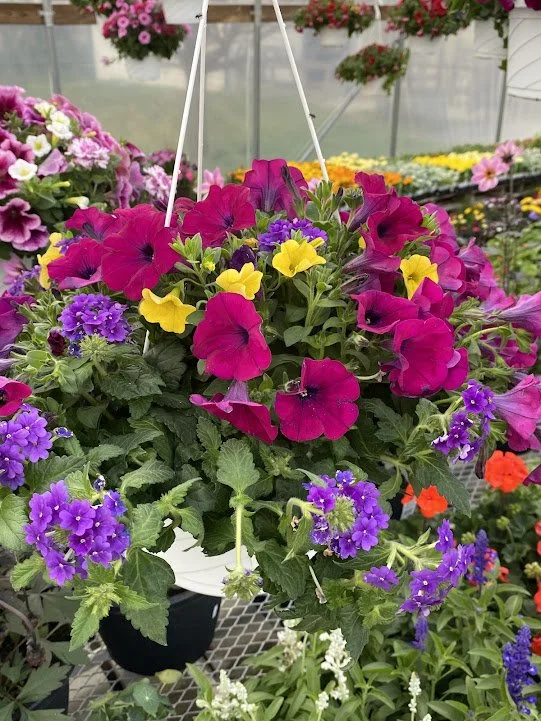  “Chalk Art” Hanging Basket - $20 