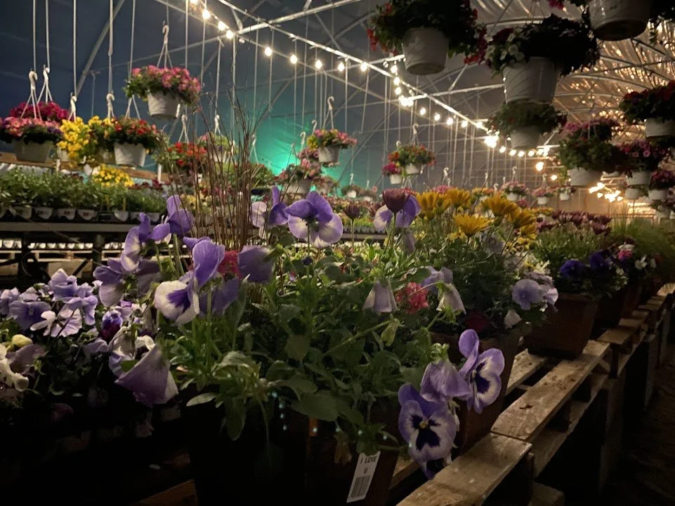  No more cell-phone-flashlight shopping for you night owls!  Greenhouse closes at 10:00. 