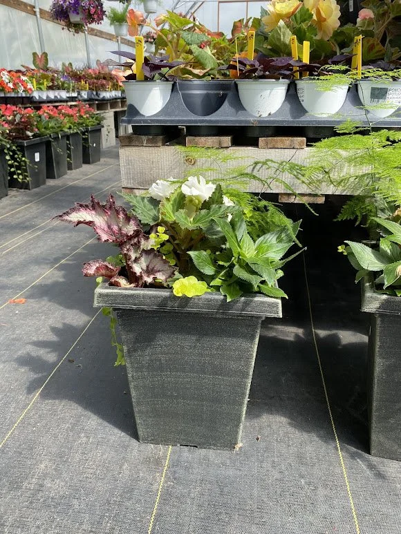  Large Square Shade Combo Pot - $40 