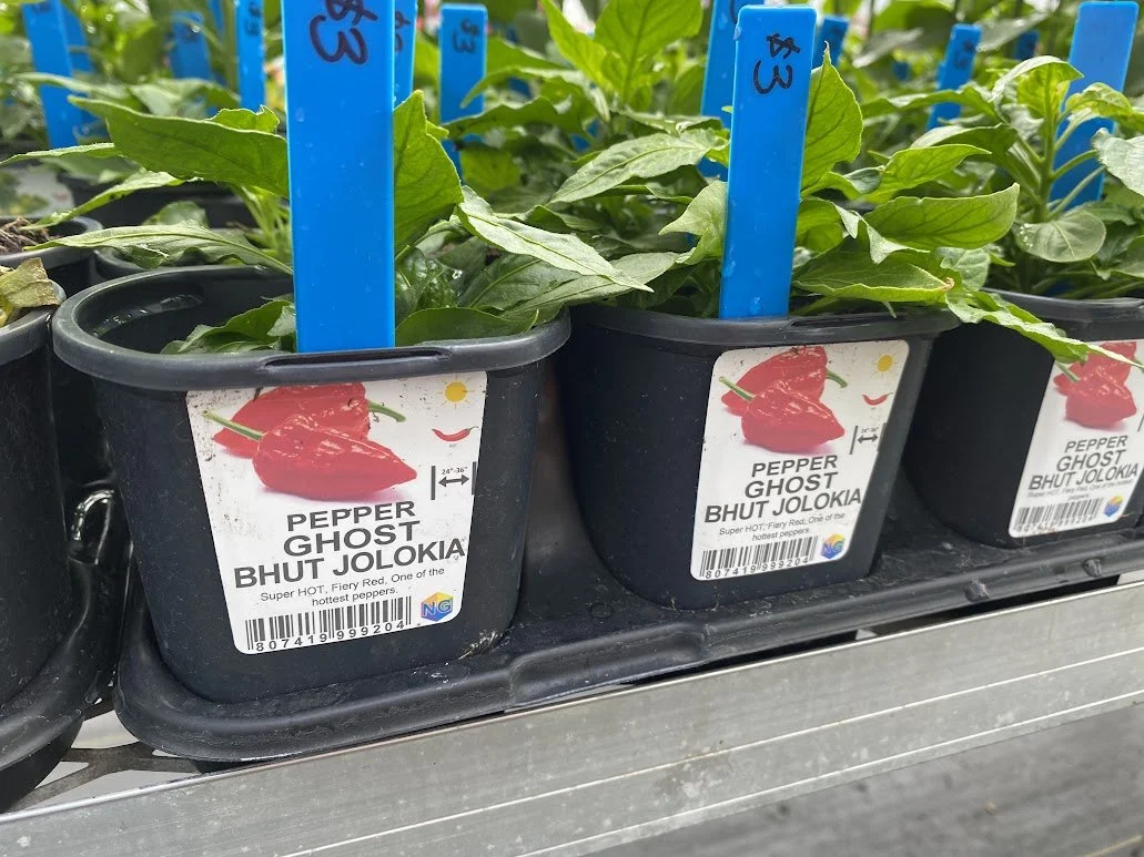  By request - we have both Ghost &amp; Carolina Reaper peppers - $3 each  All veggies Mix-n-Match 10/$25 