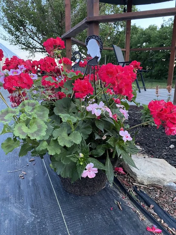 5-15-26 4.jpg